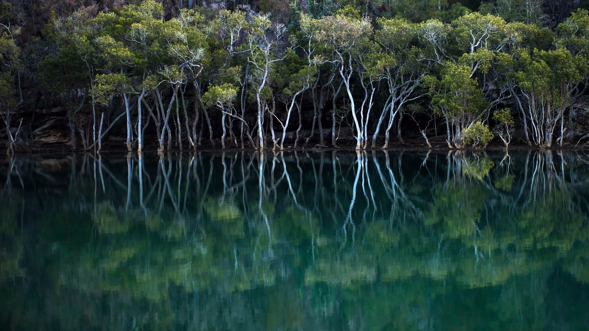 风景