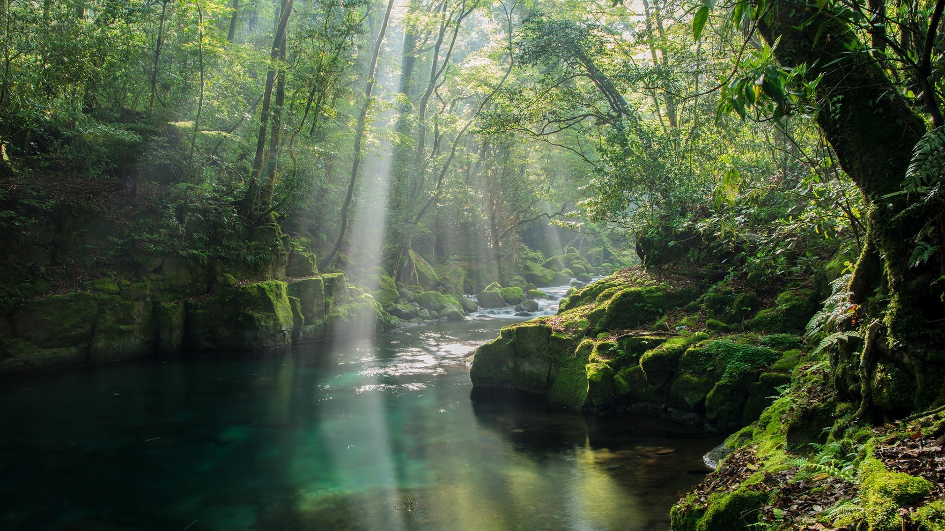 风景