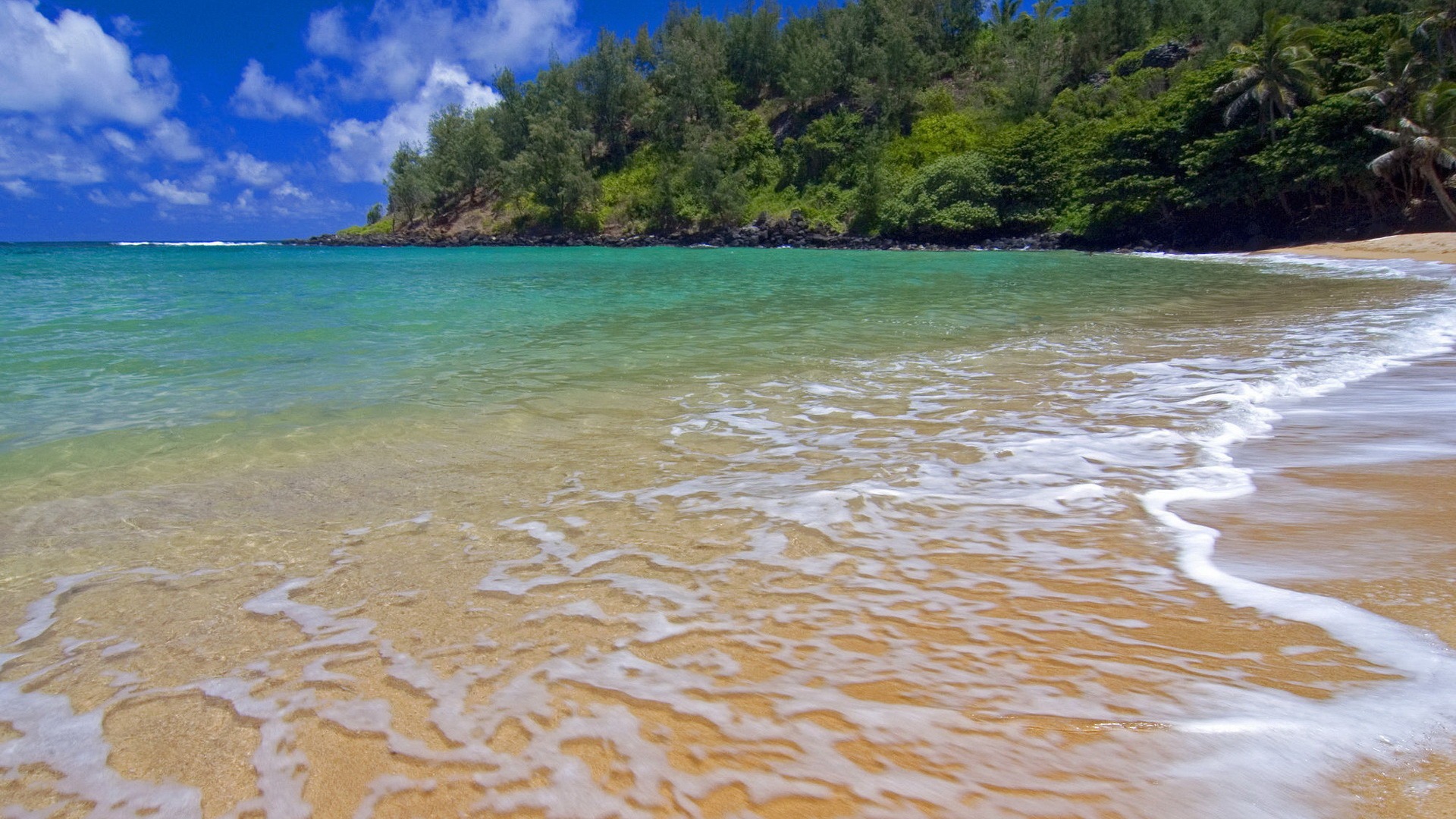 风景