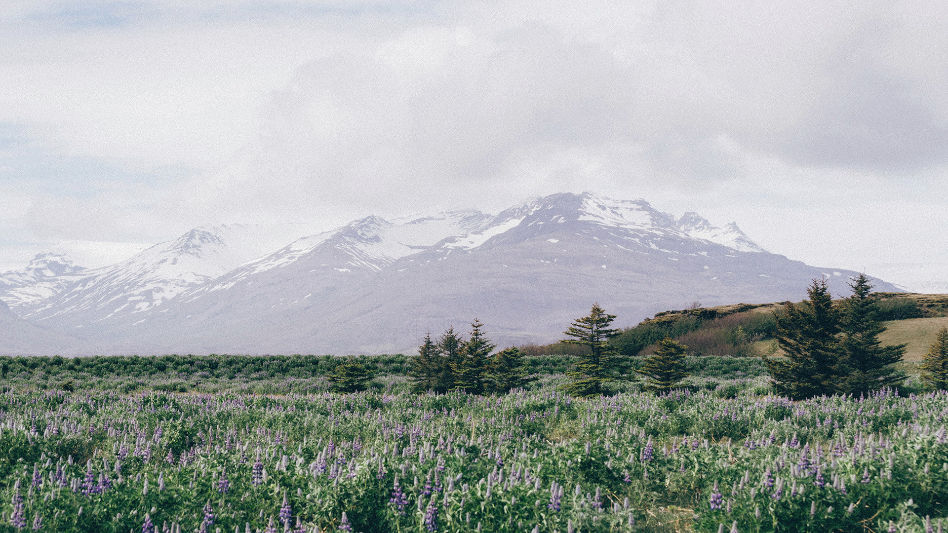 风景