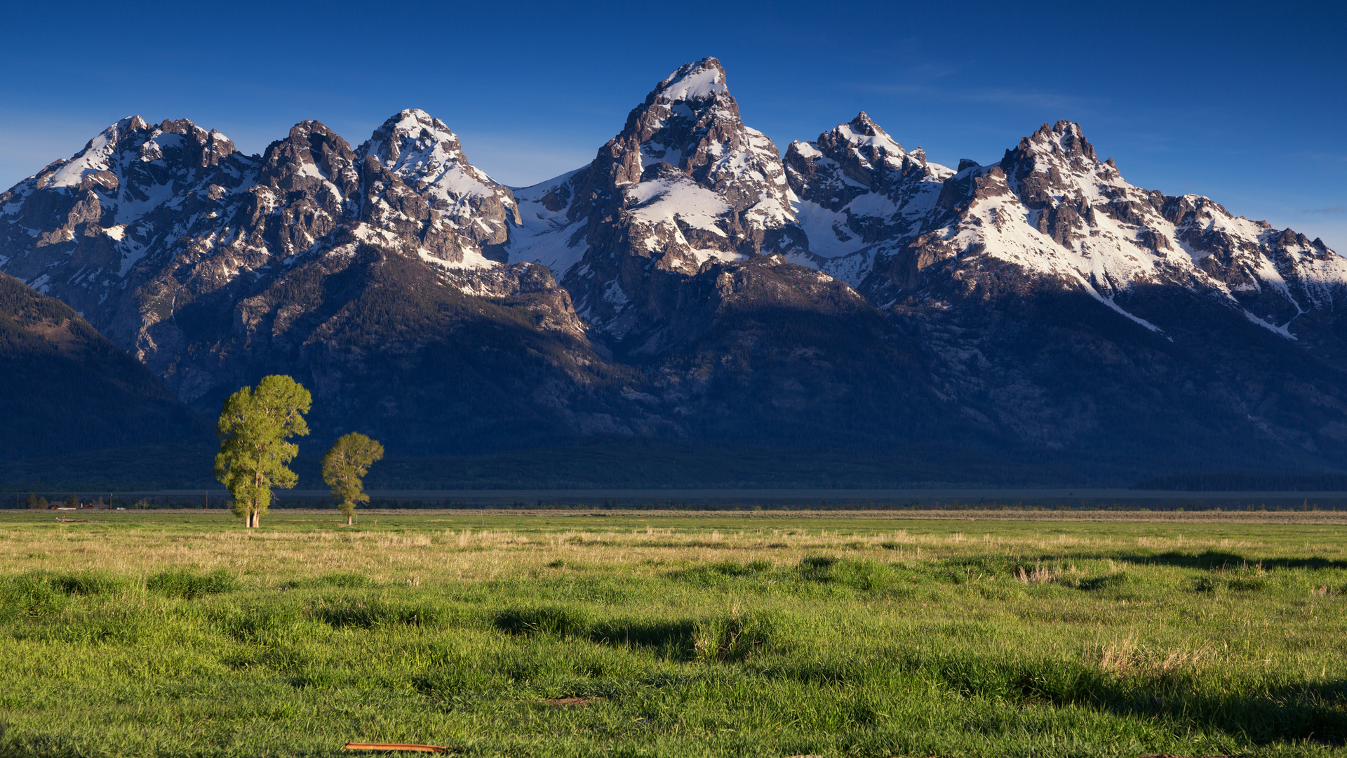 风景