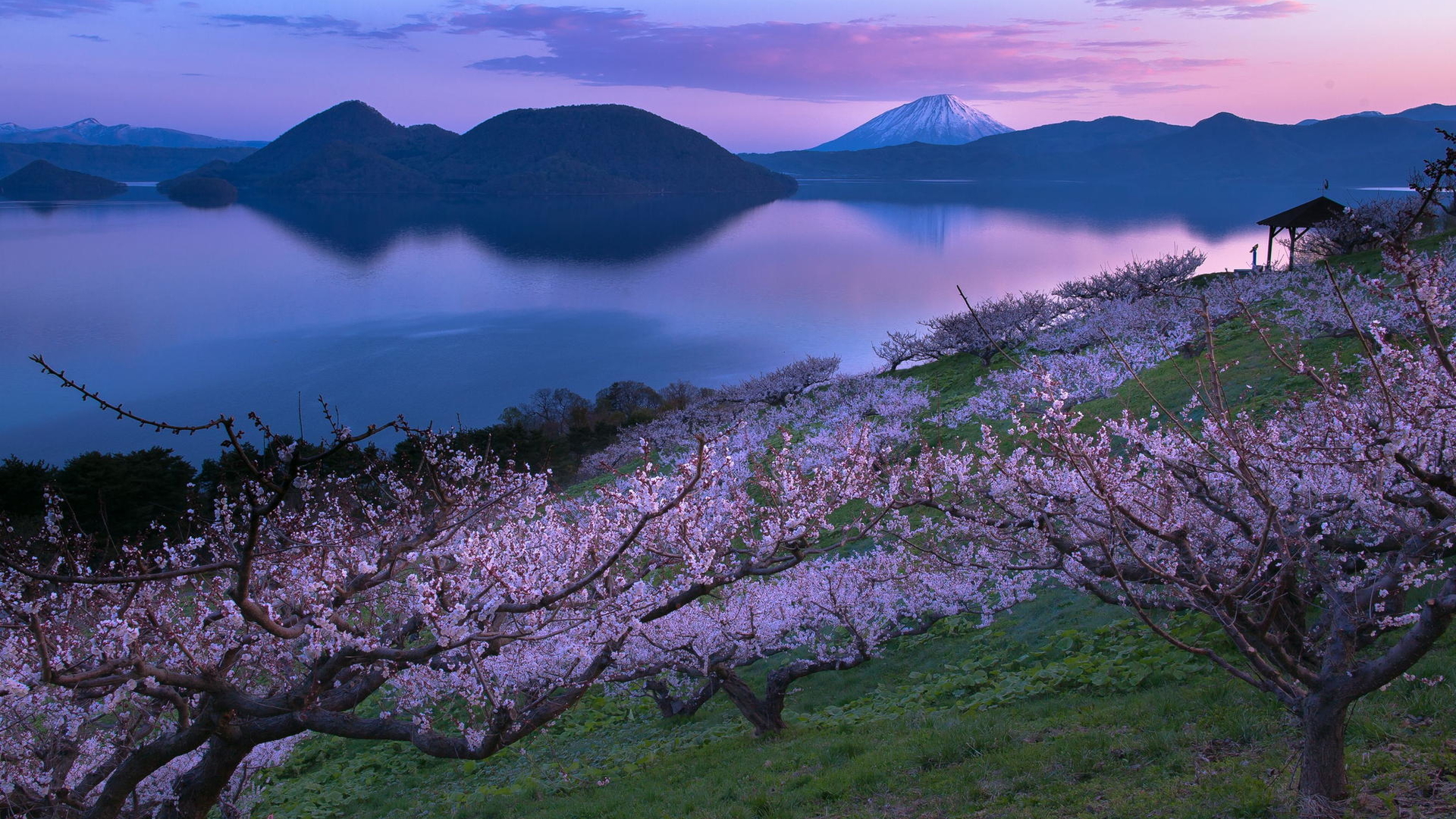 风景