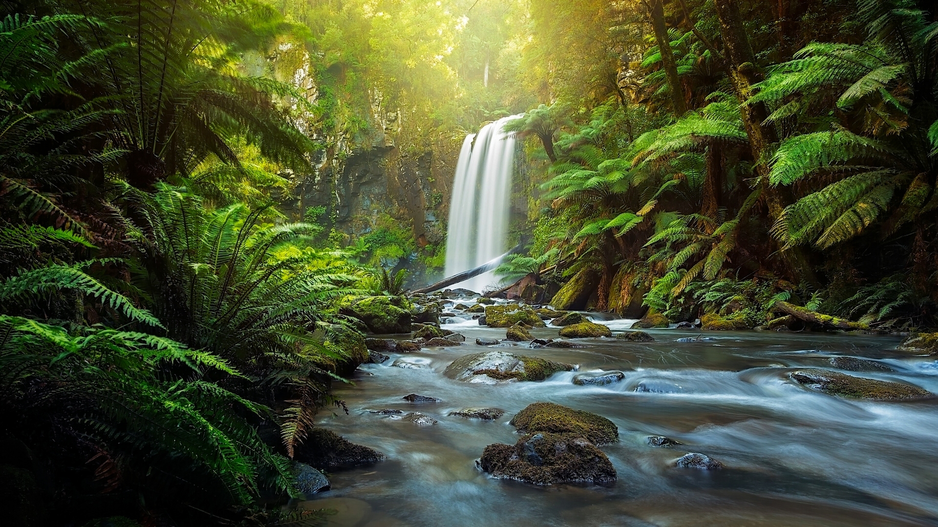 风景