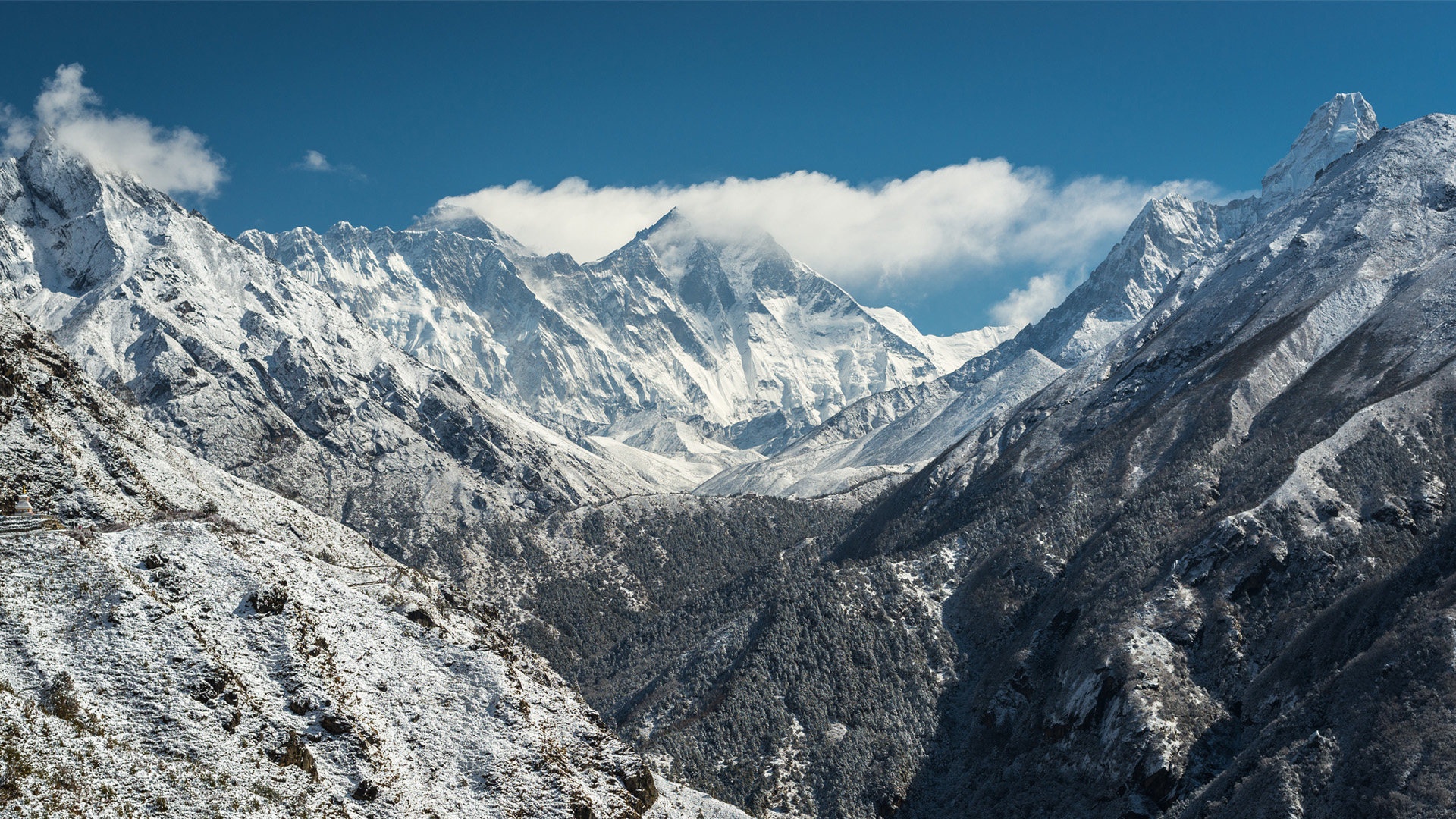 风景