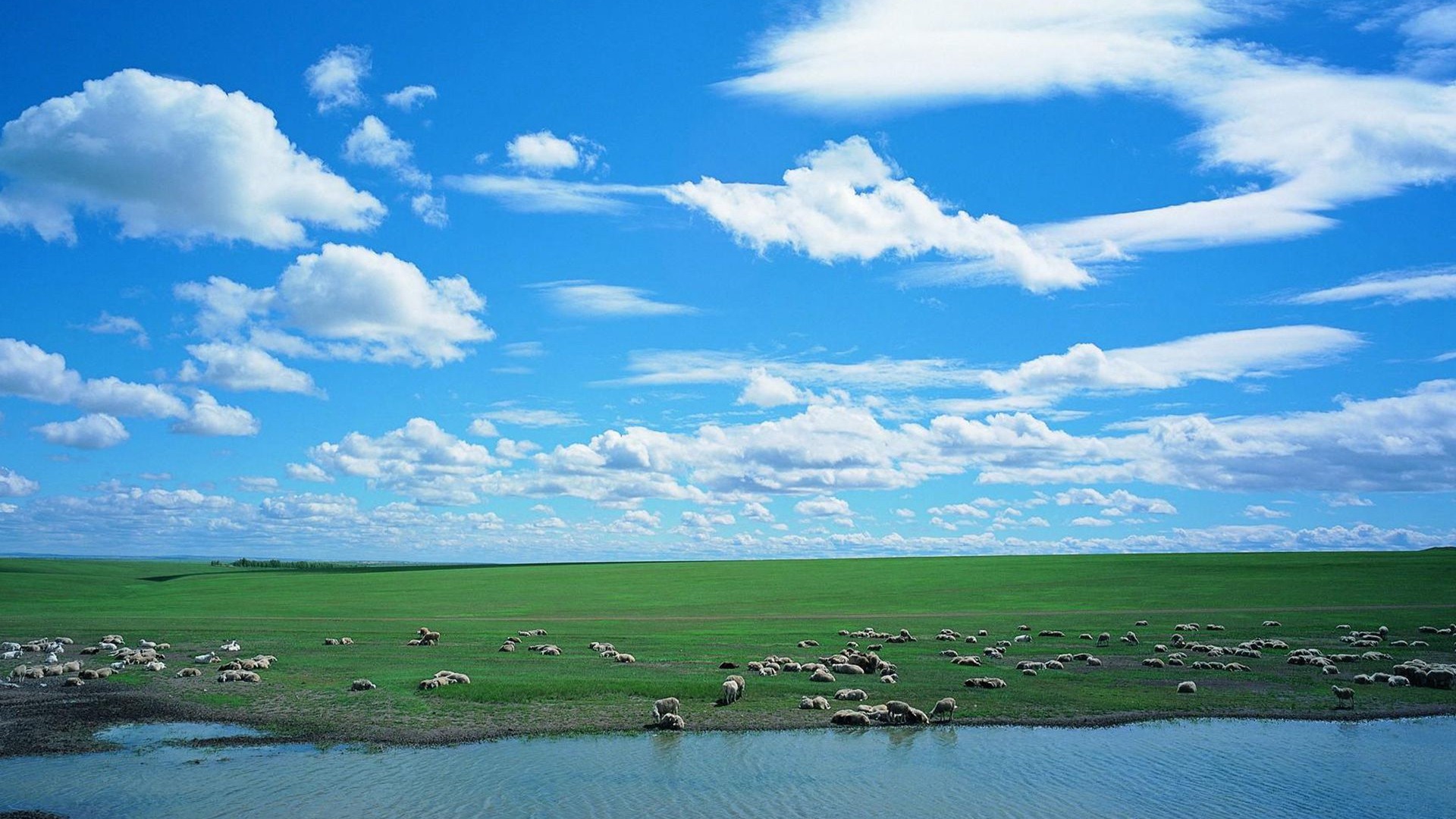 风景