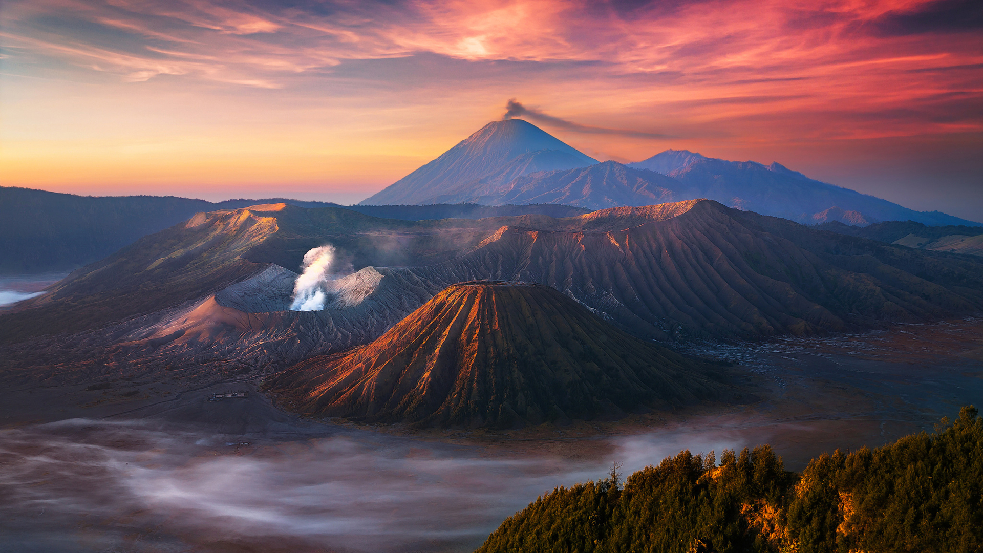 风景