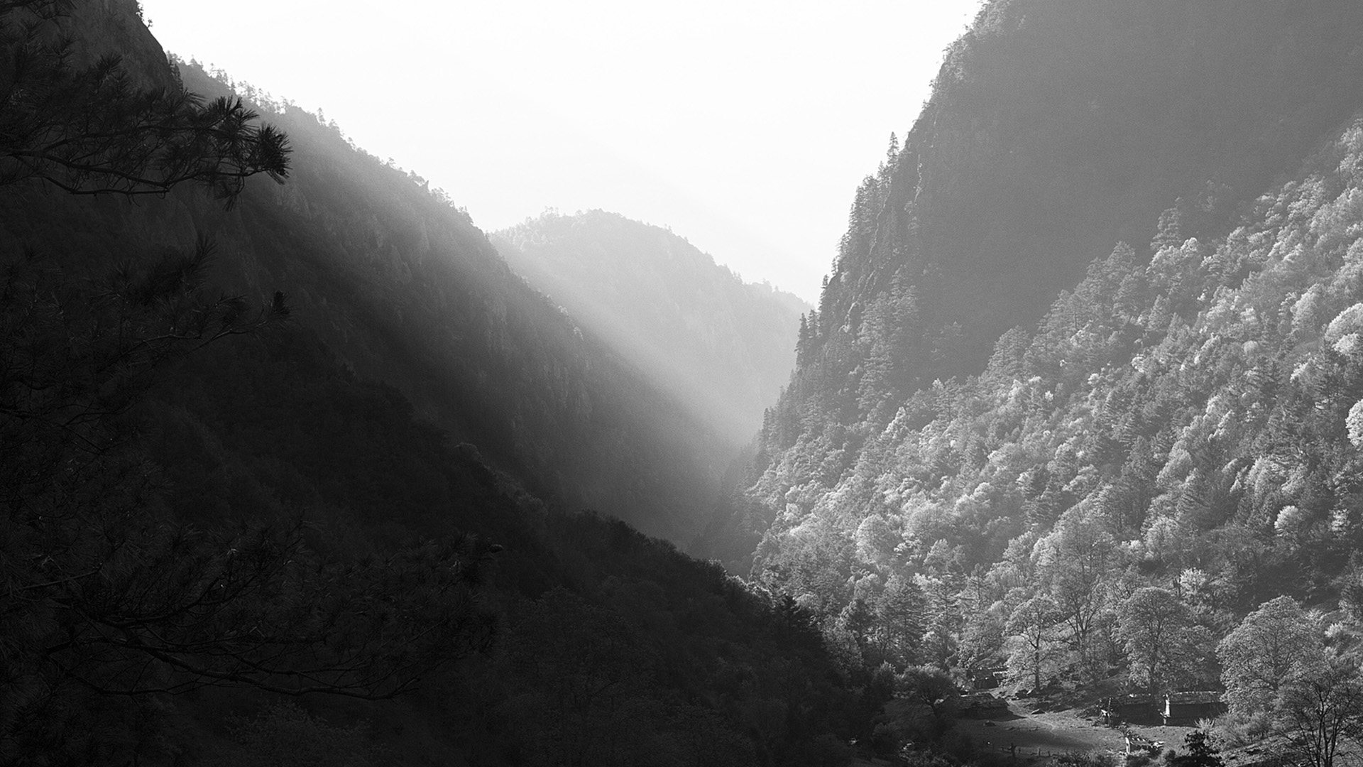 风景