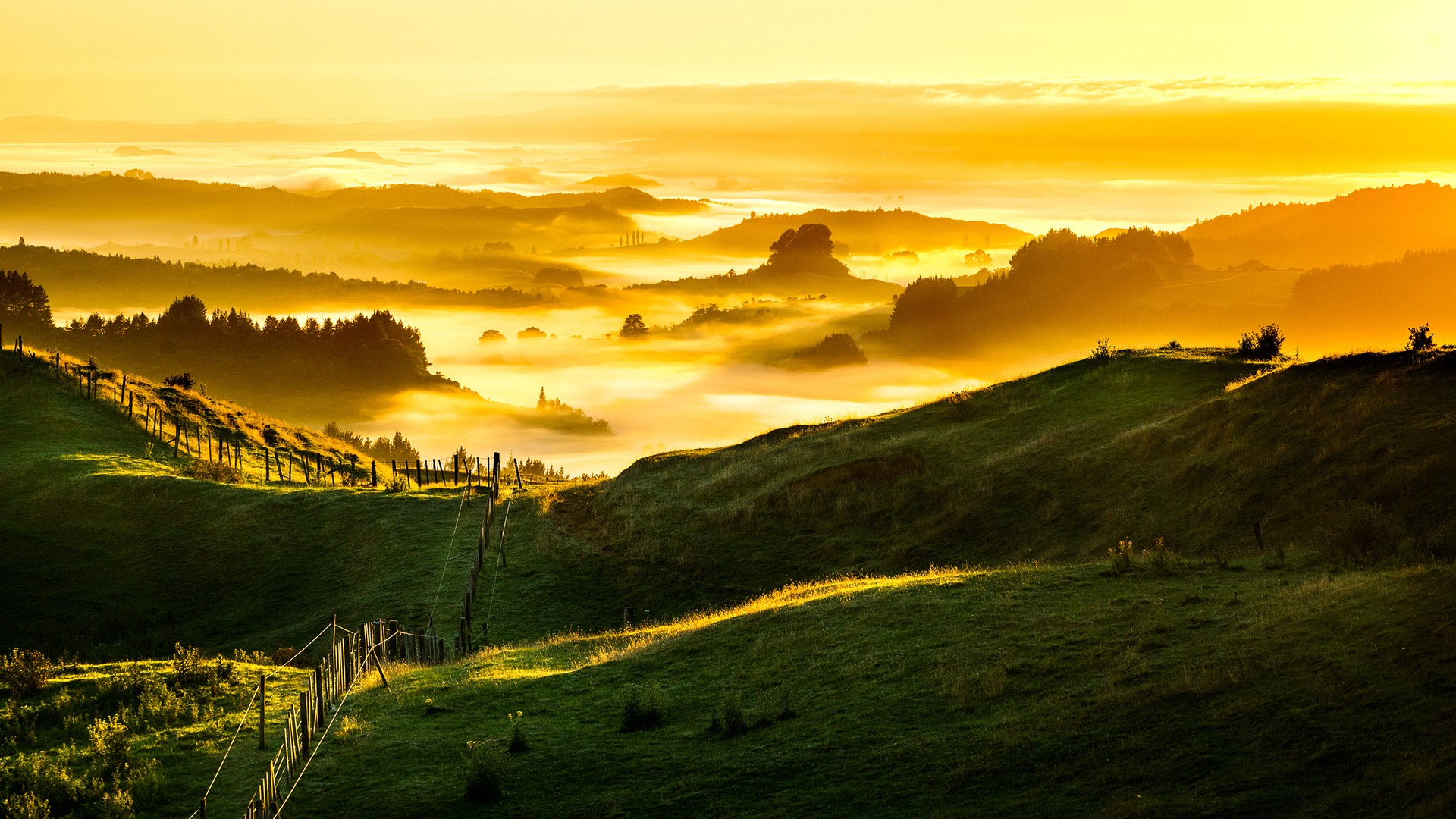 风景