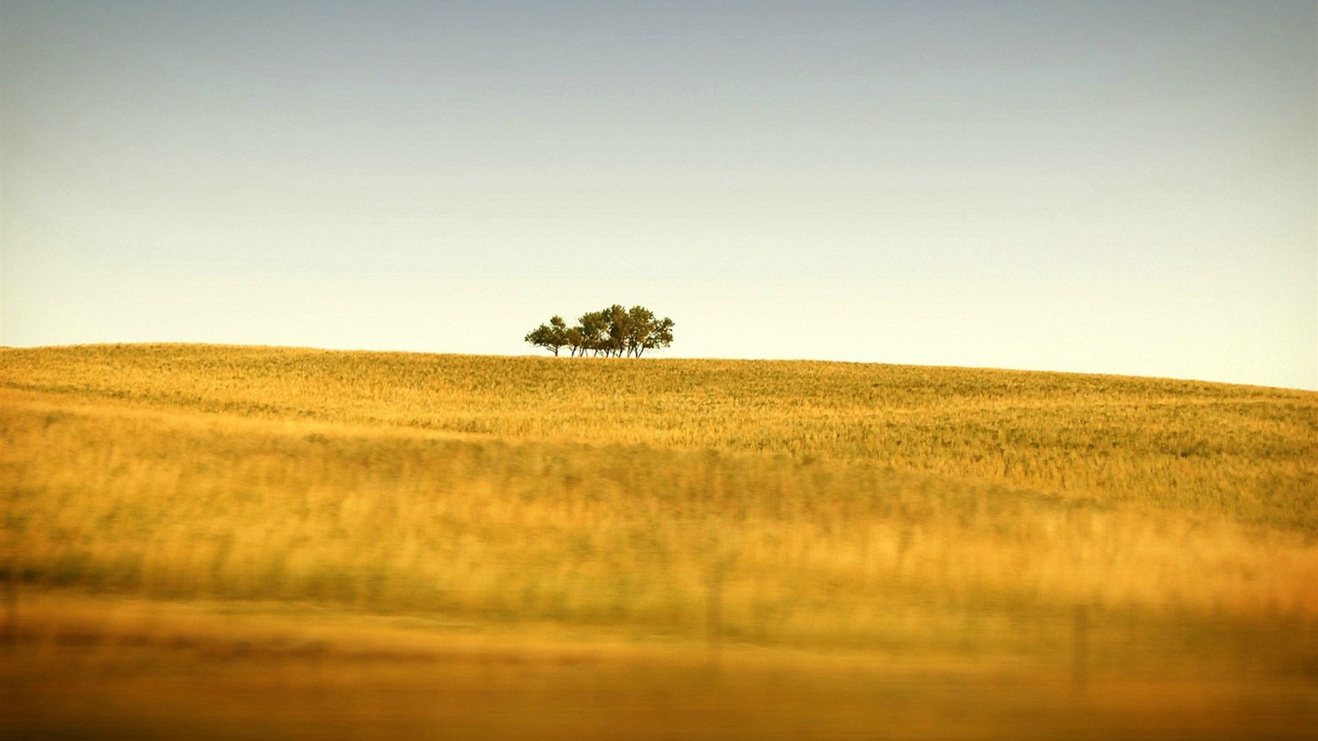 风景