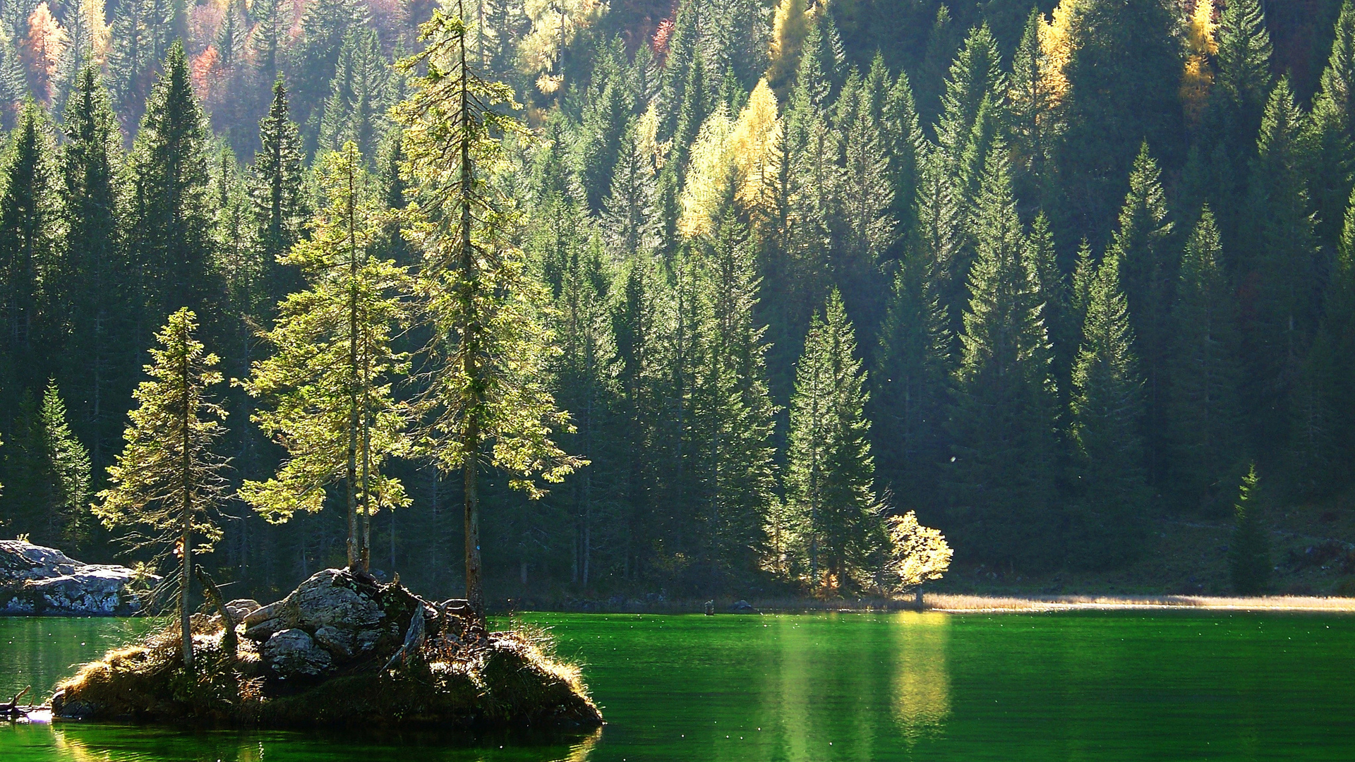 风景