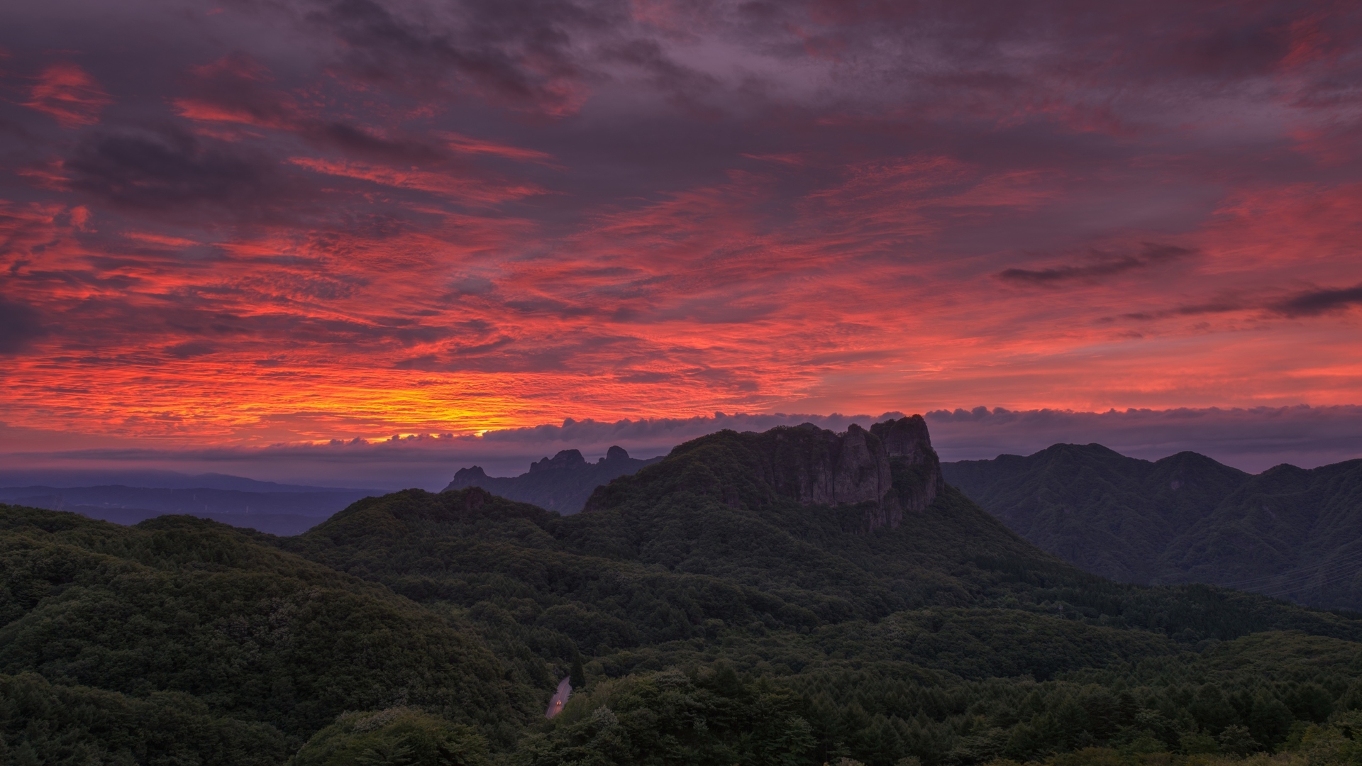 风景