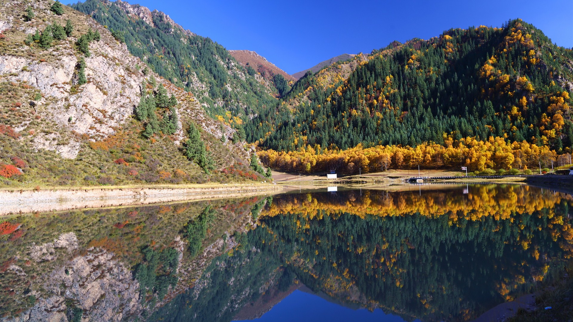 风景