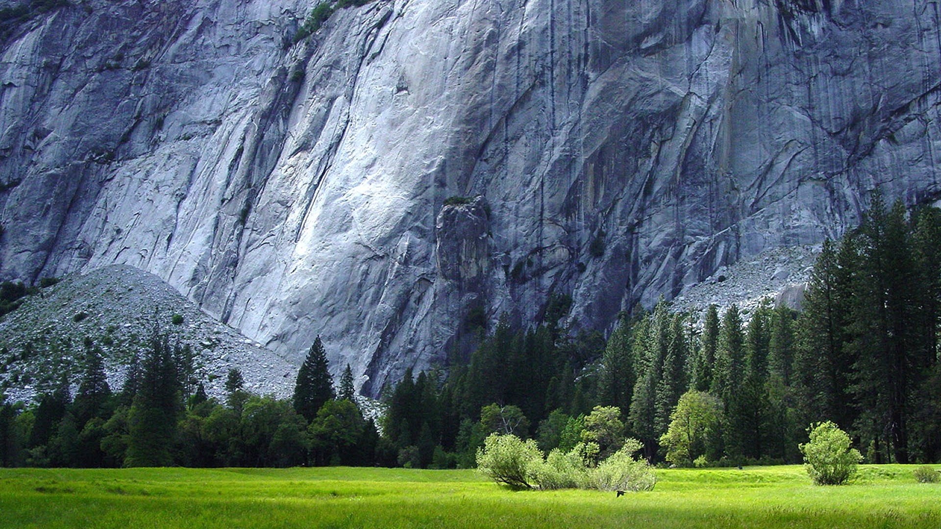 风景