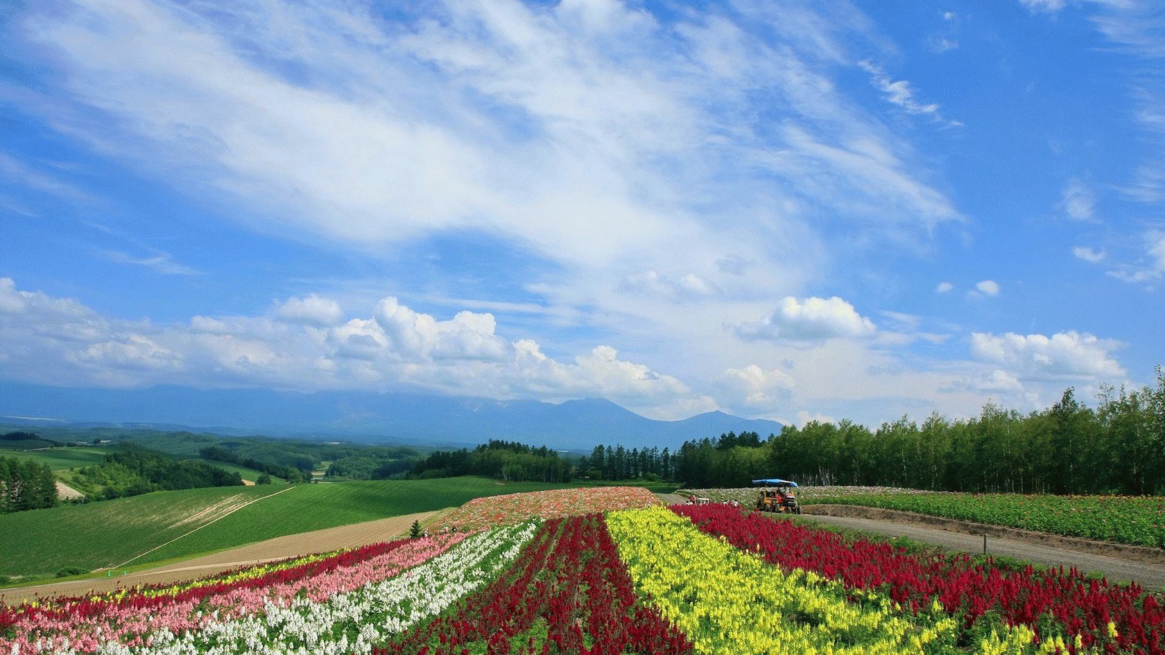 风景