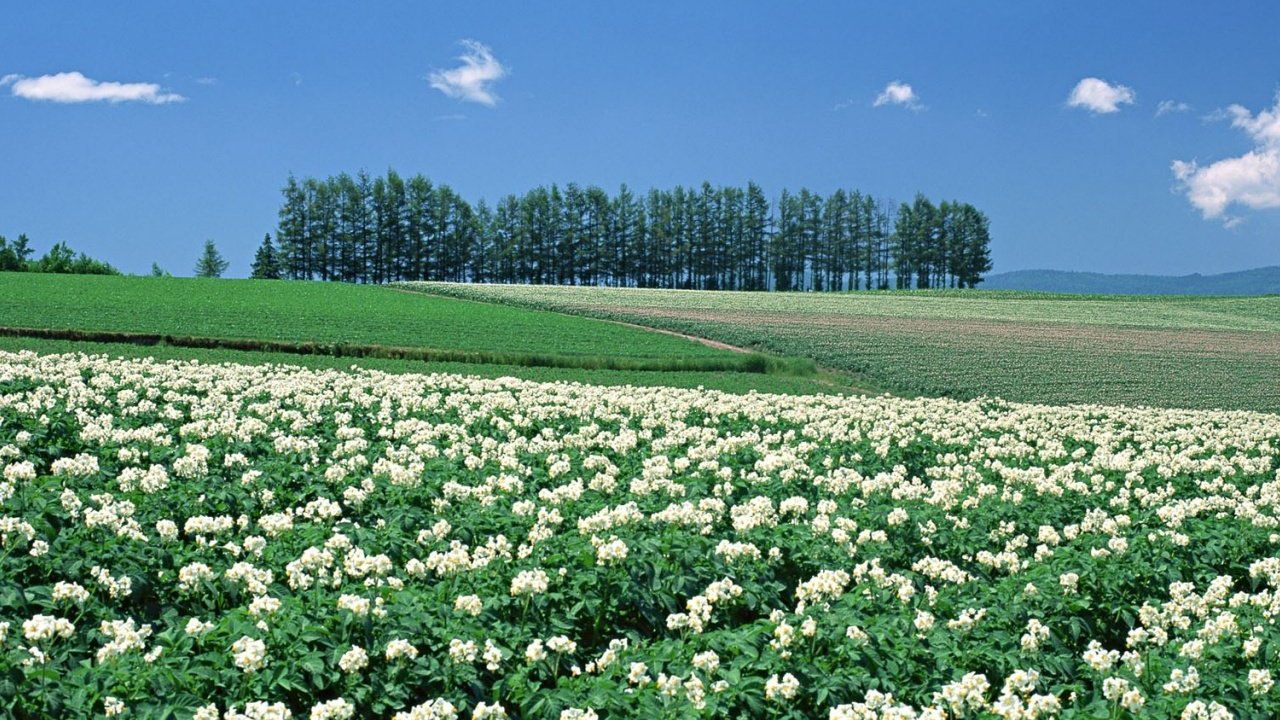 风景