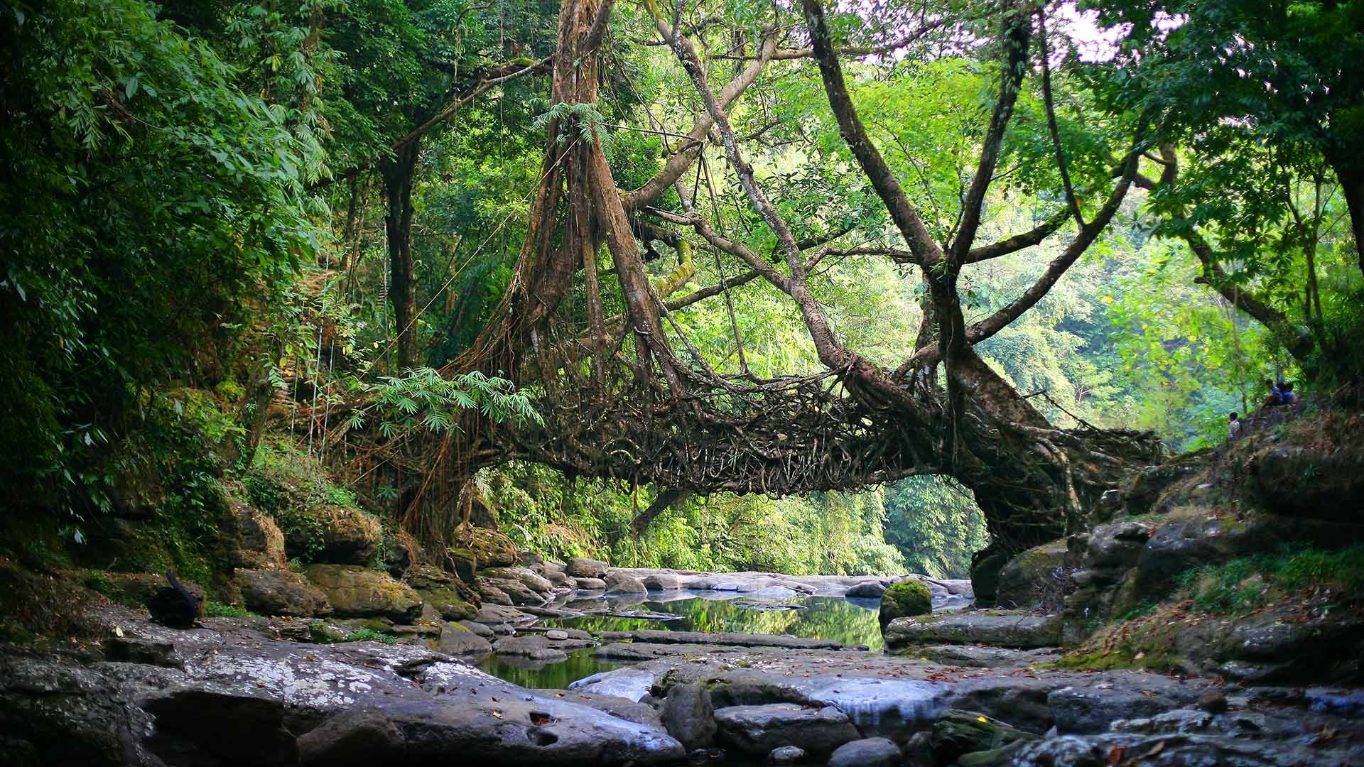 风景