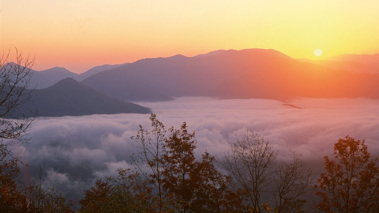 风景