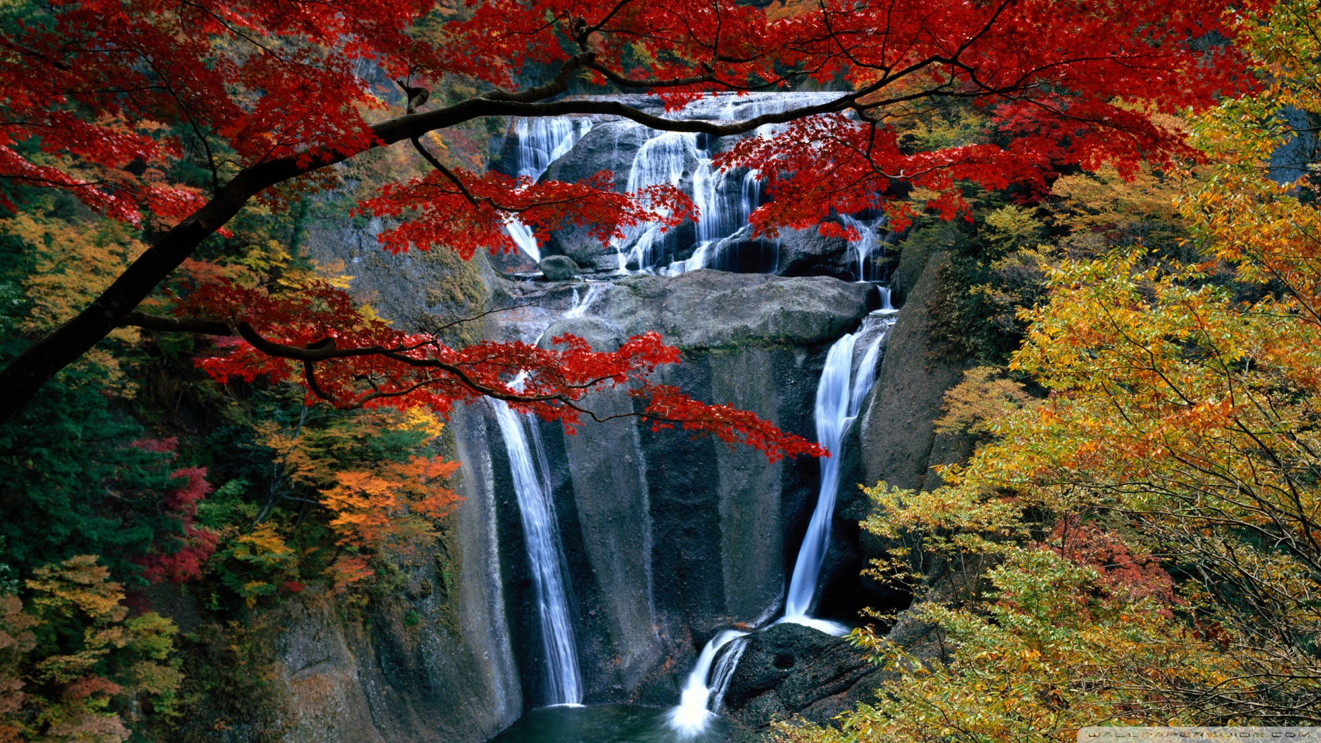 风景