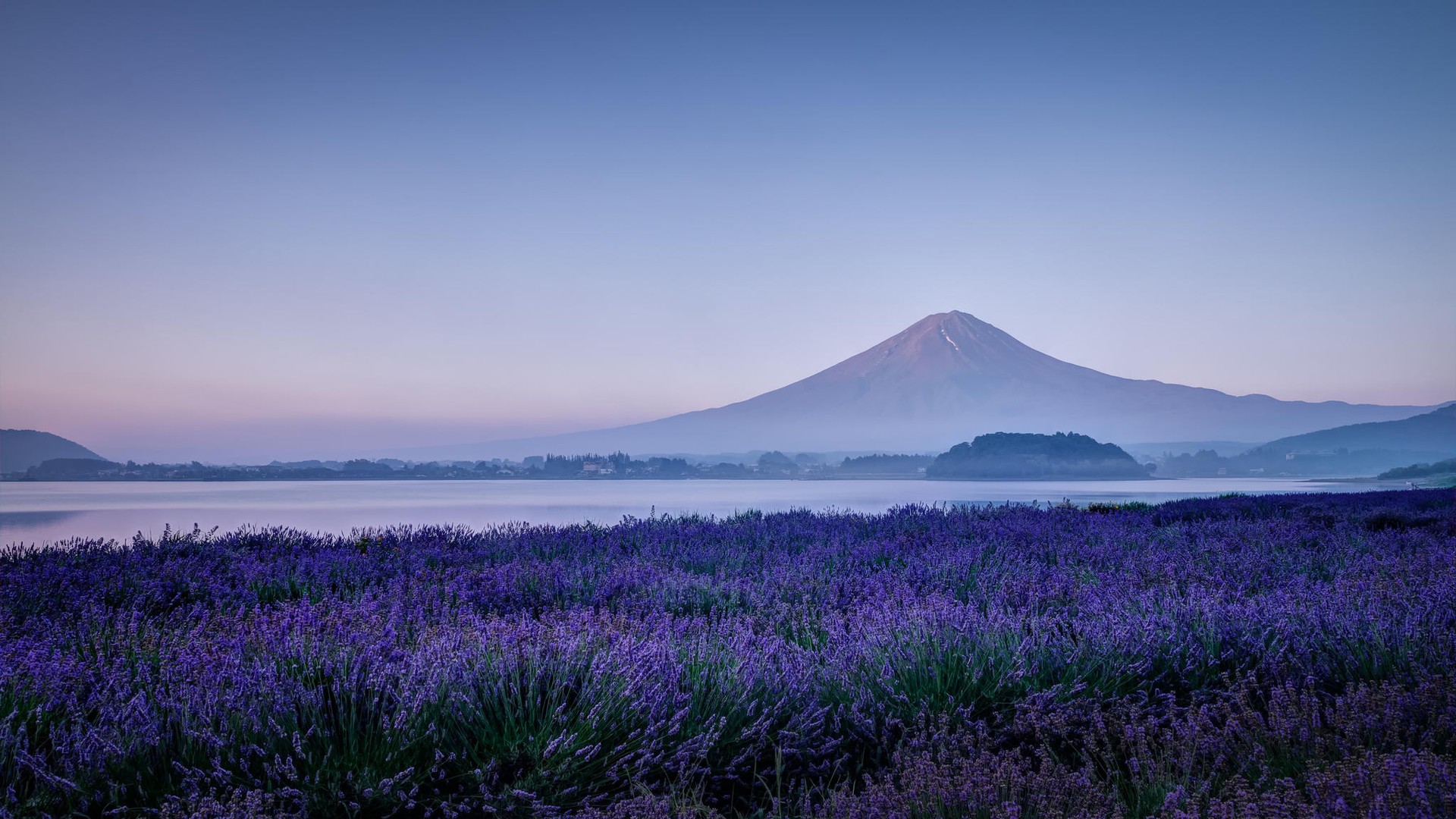 风景