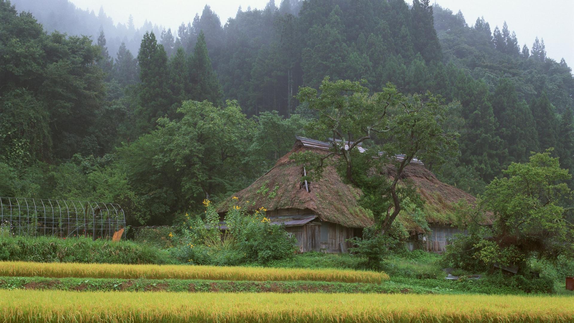 风景