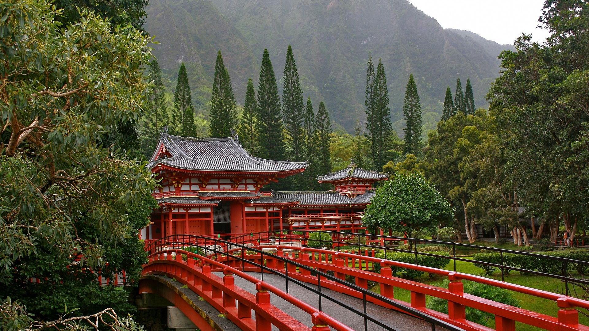 风景