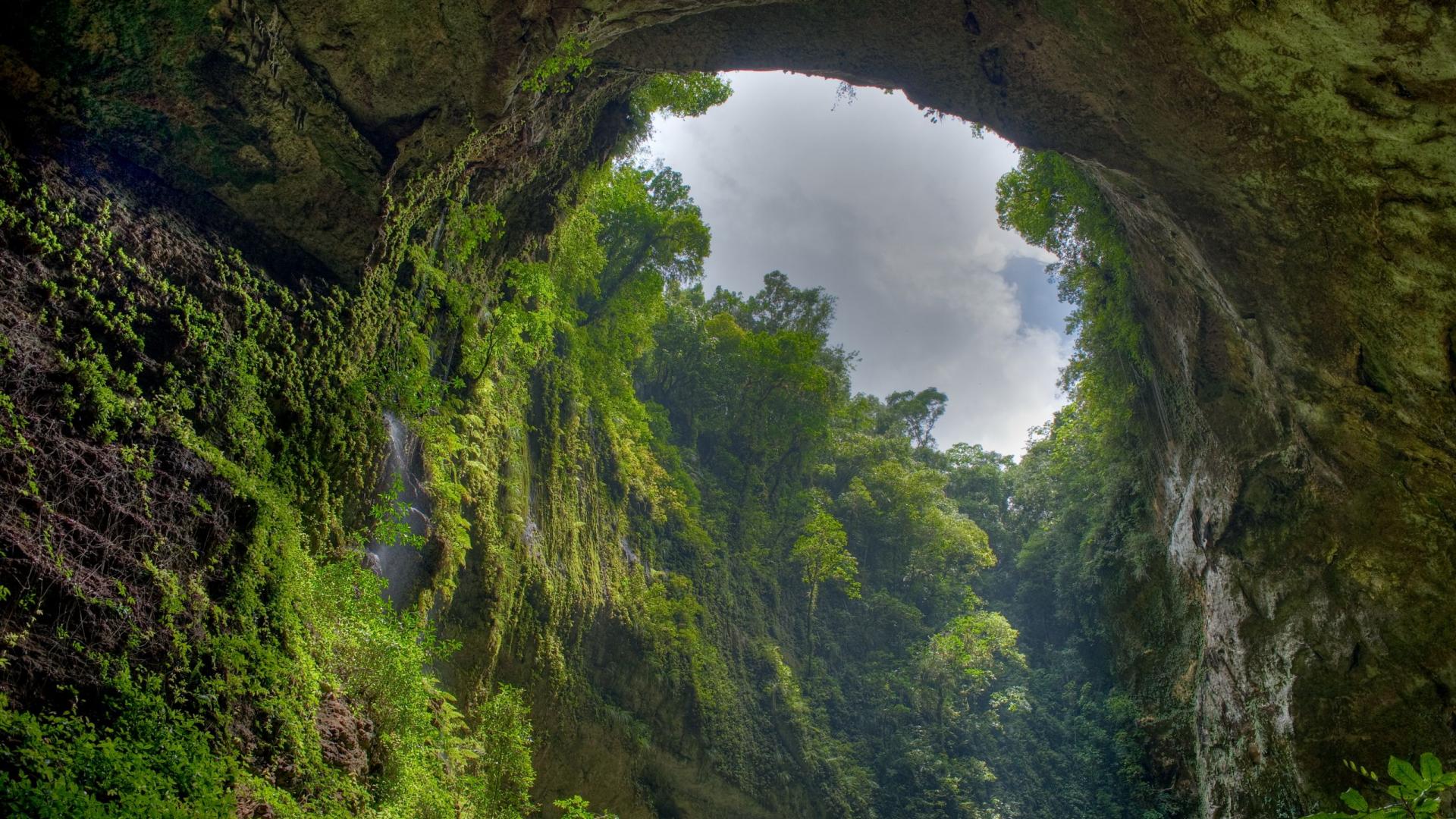 风景