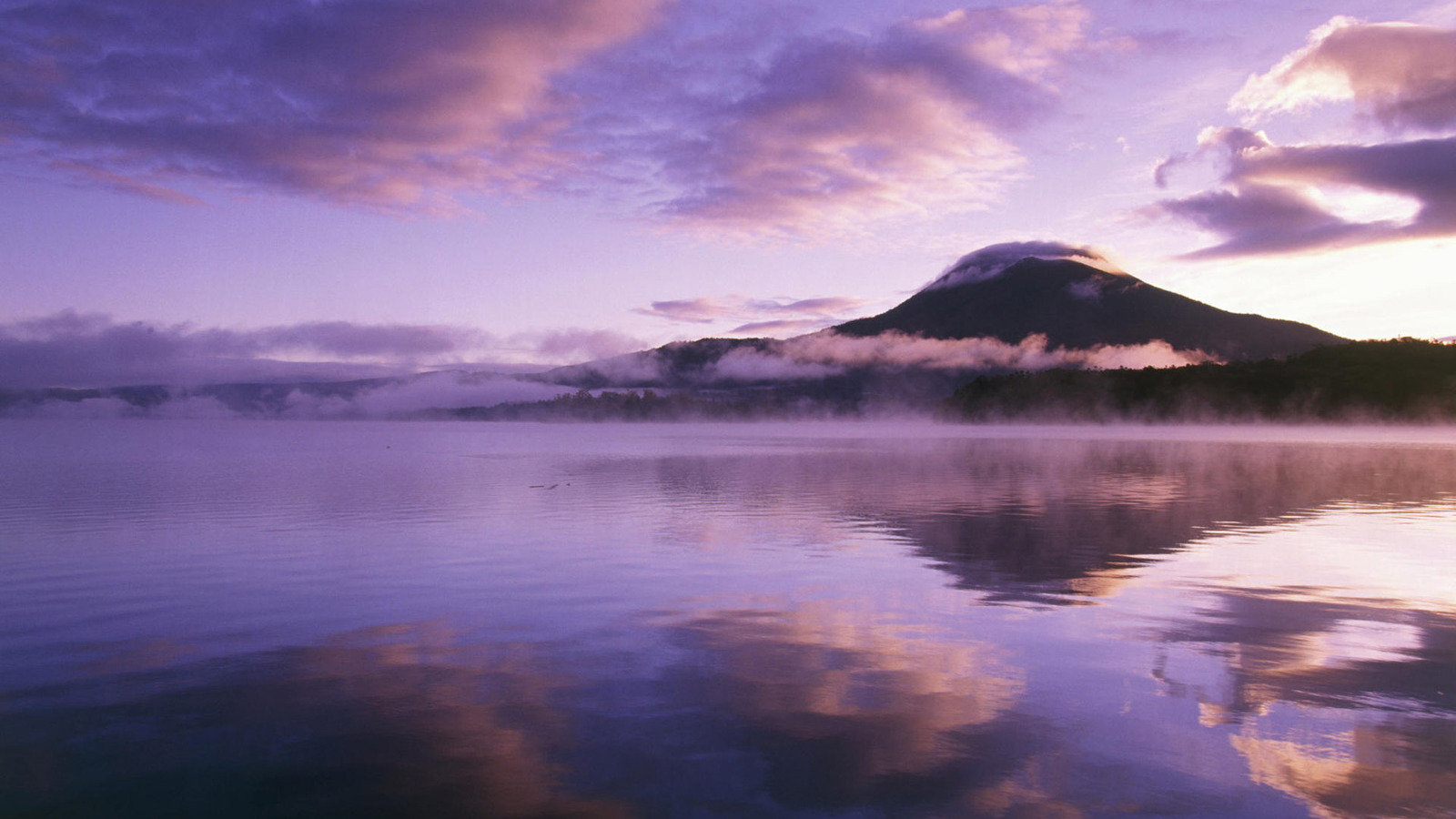 风景