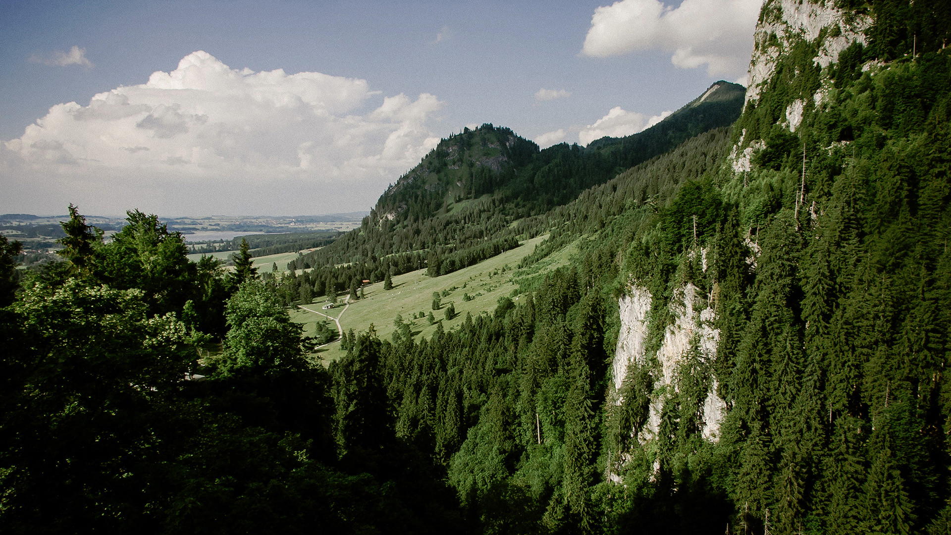 风景