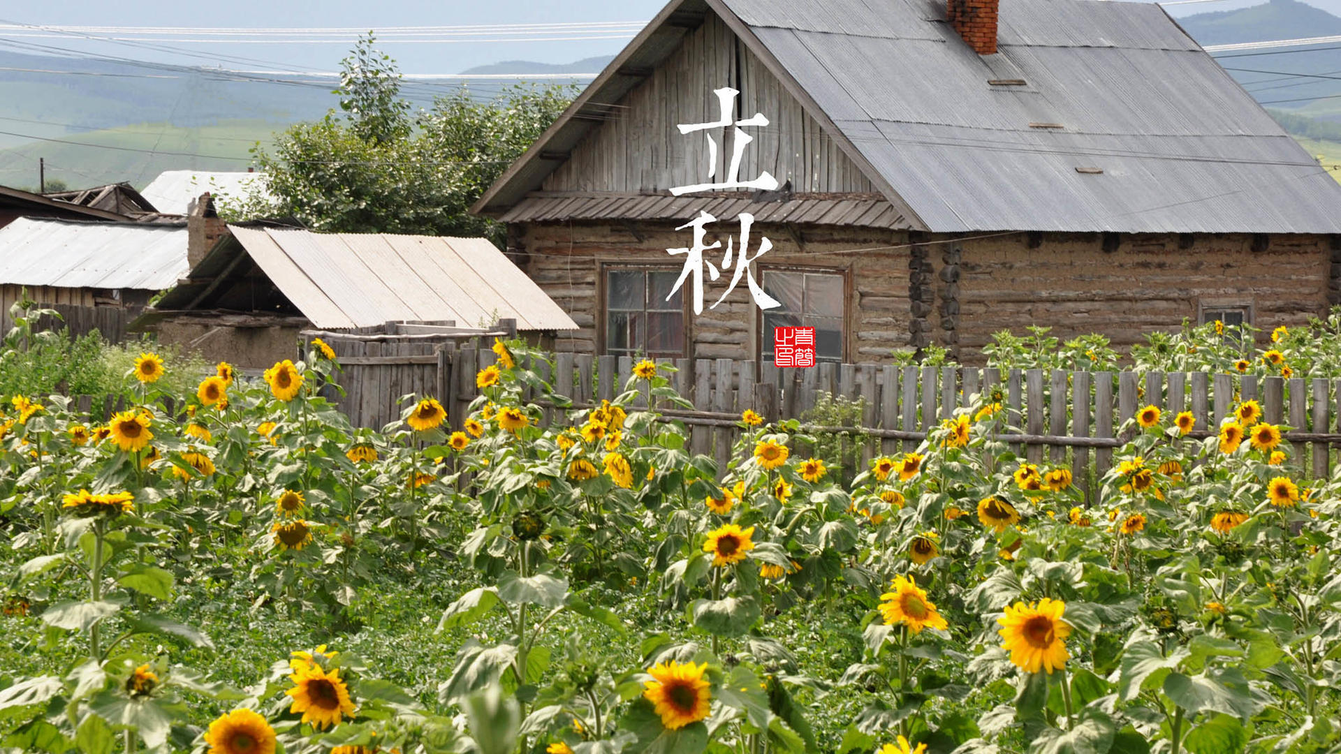 风景