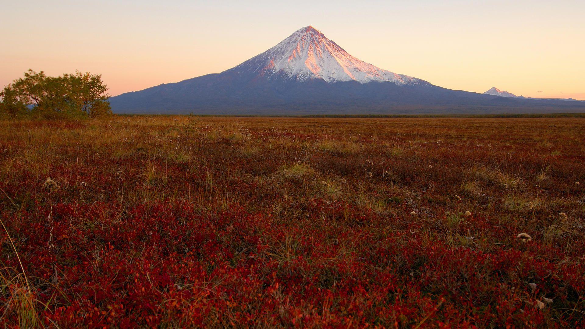 风景