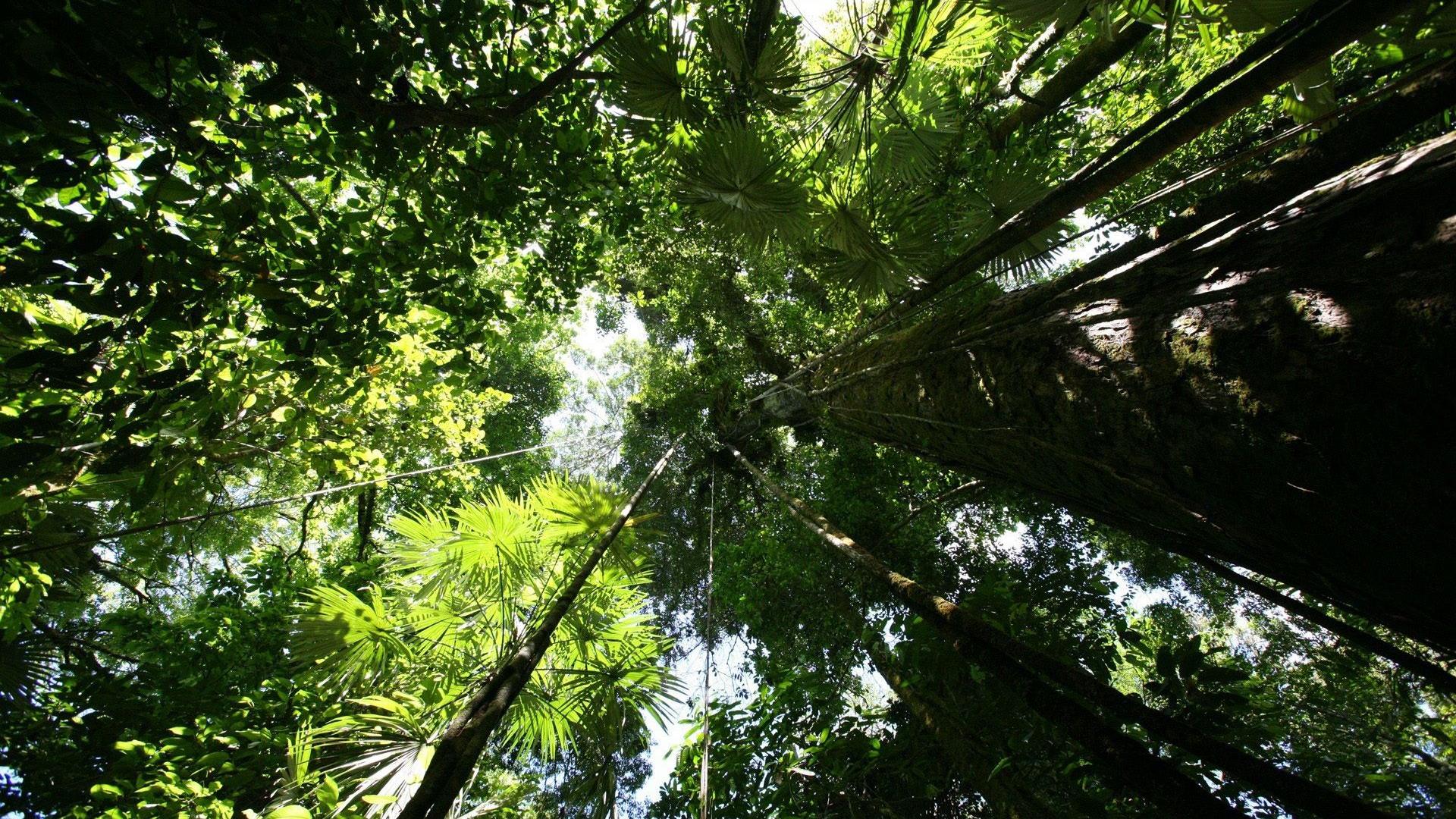 风景