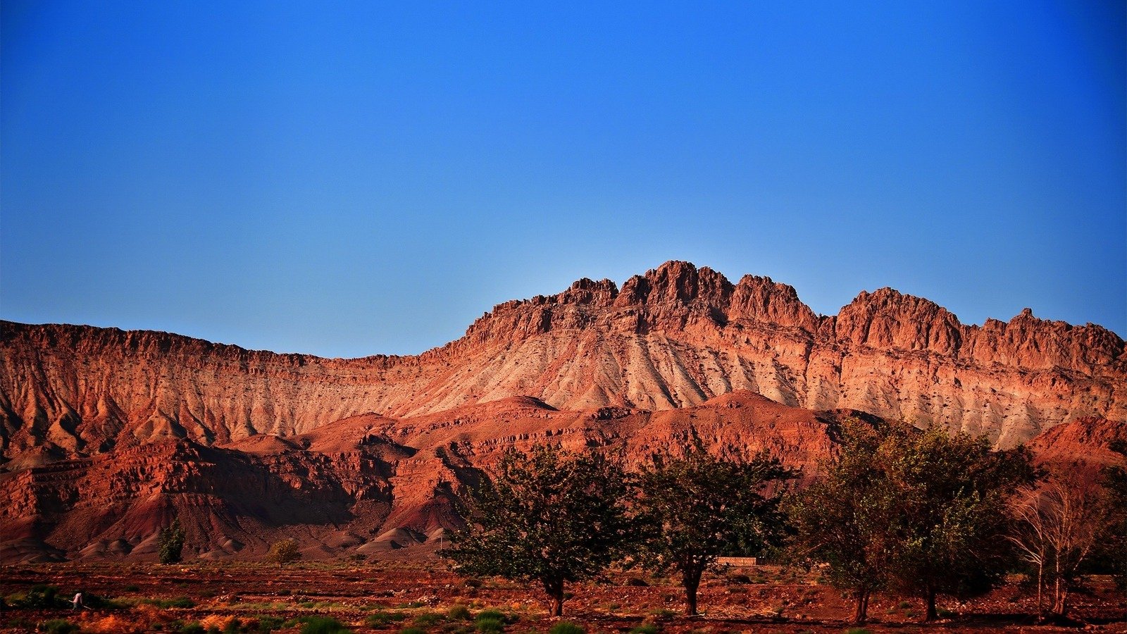 风景