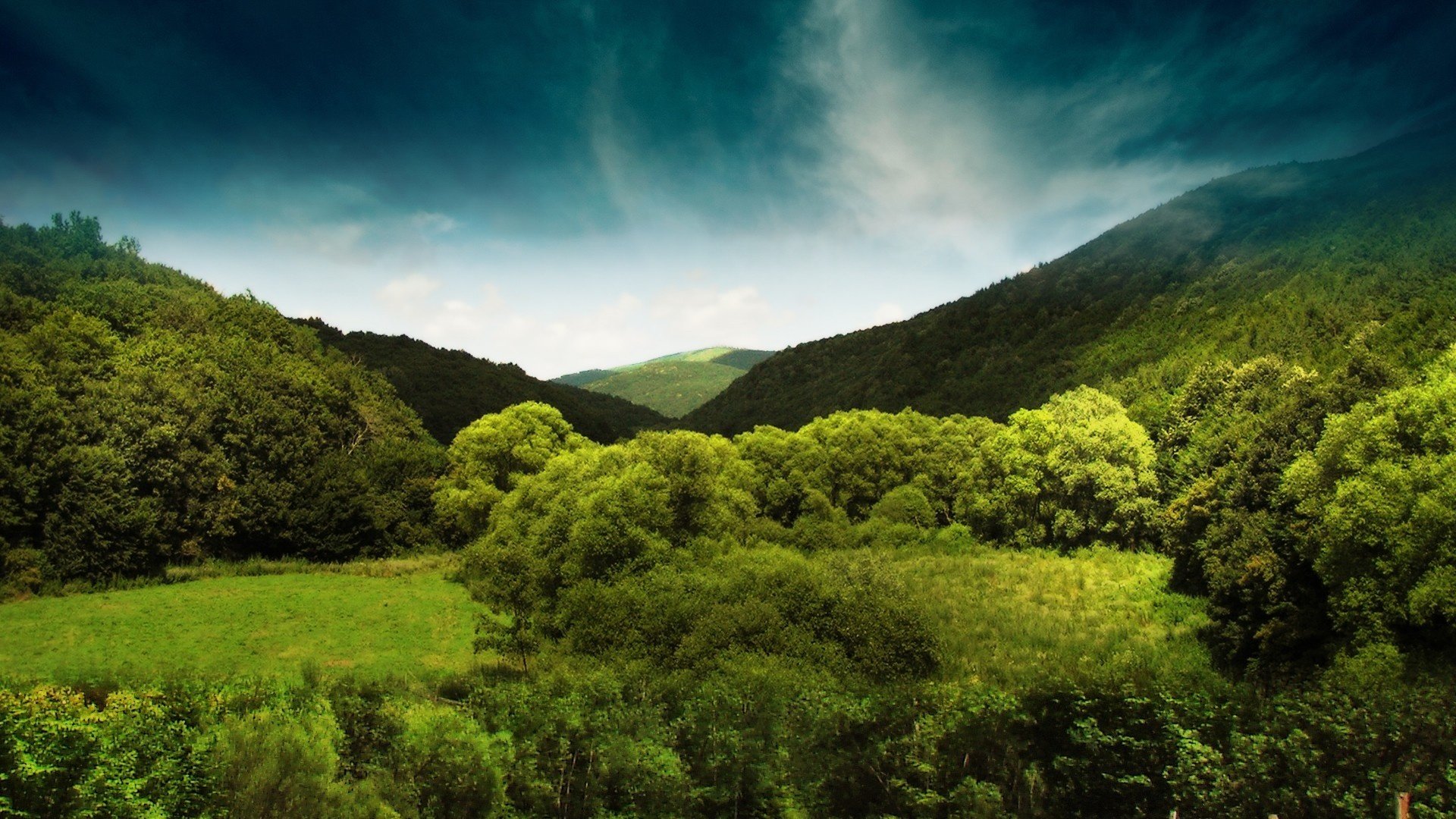 风景