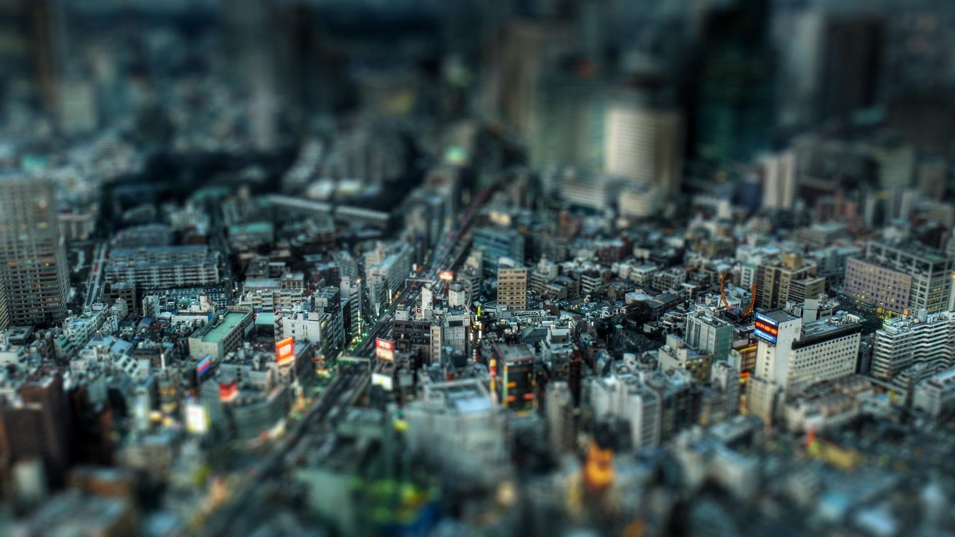 风景