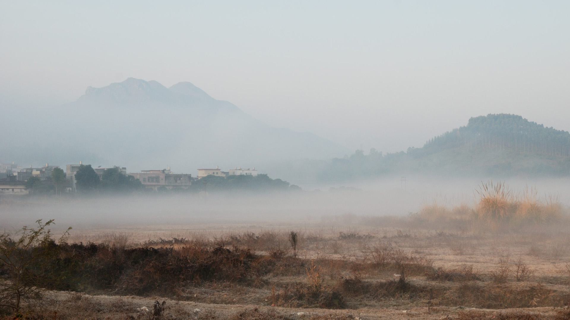 风景