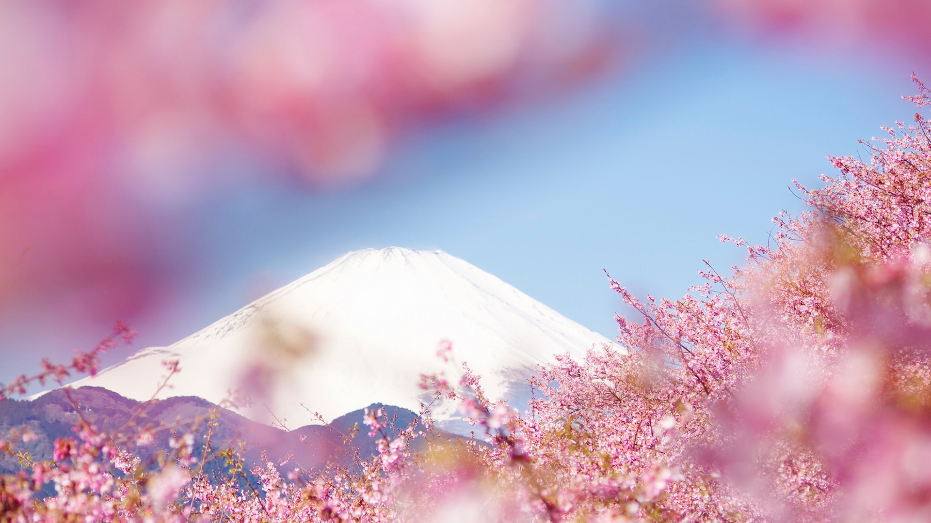 风景