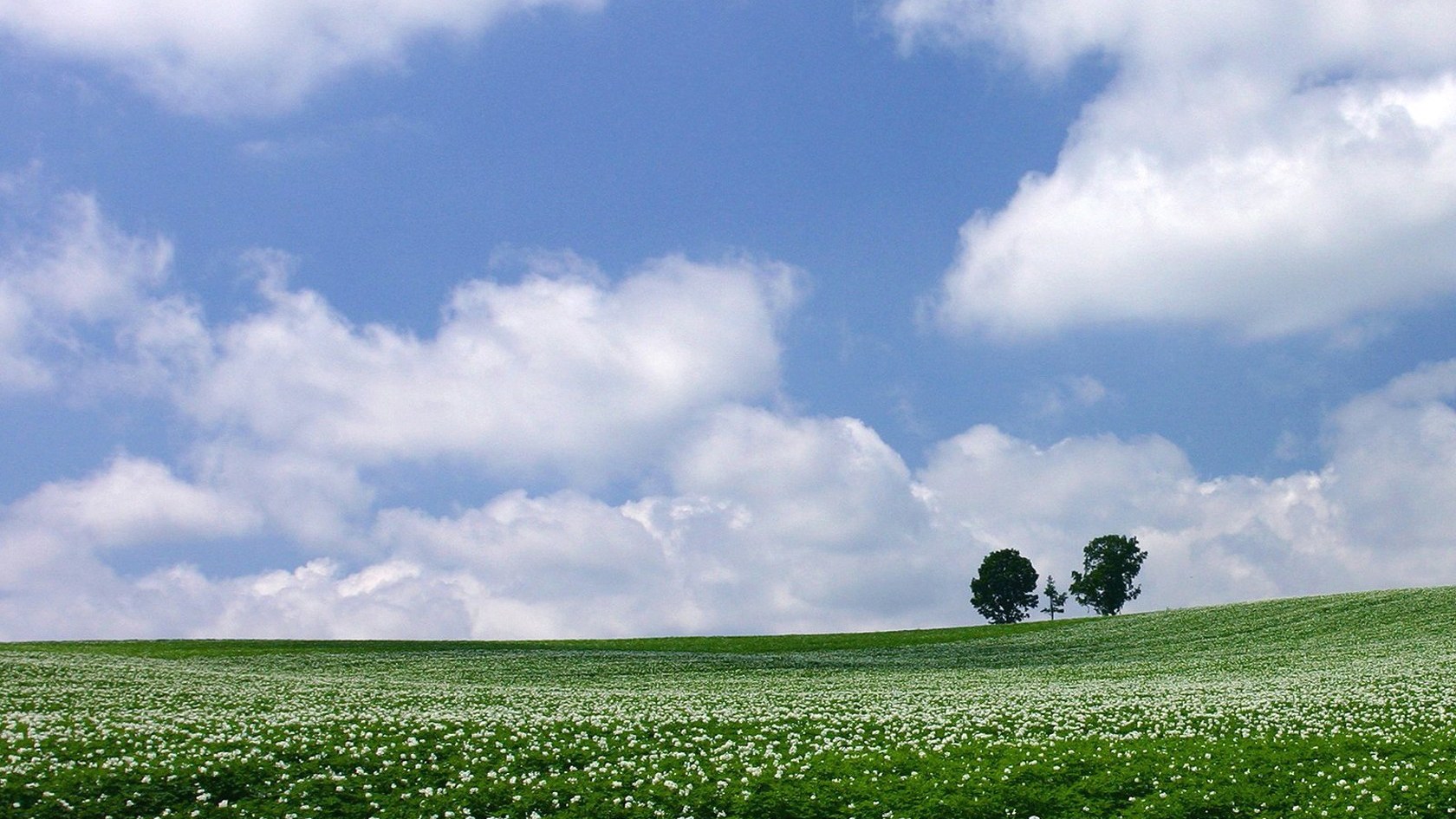 风景