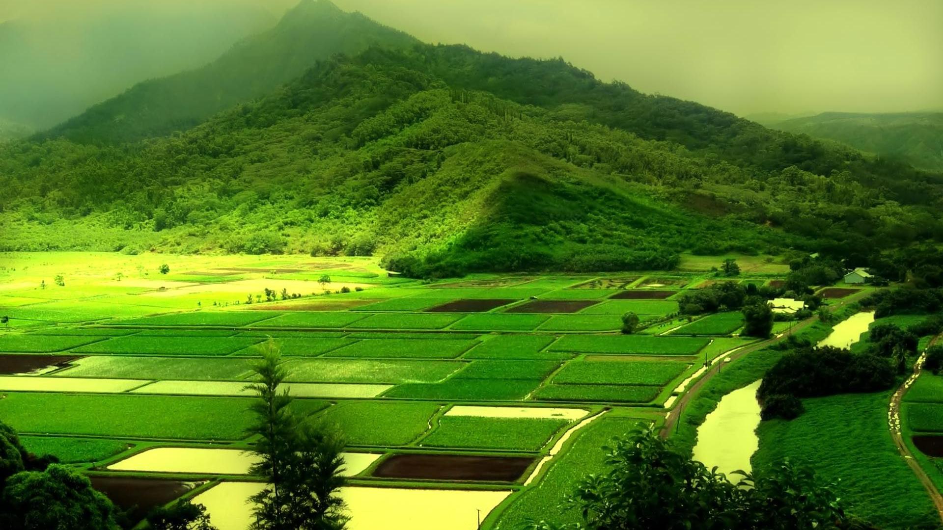 风景
