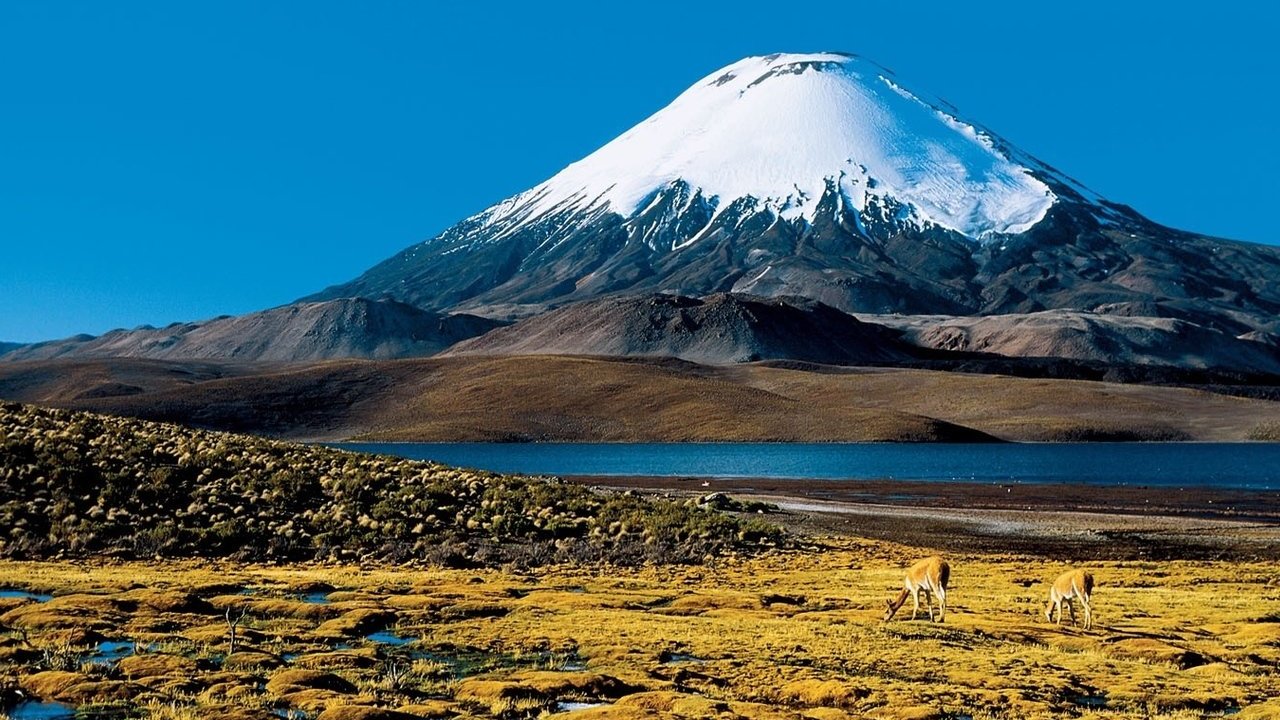 风景
