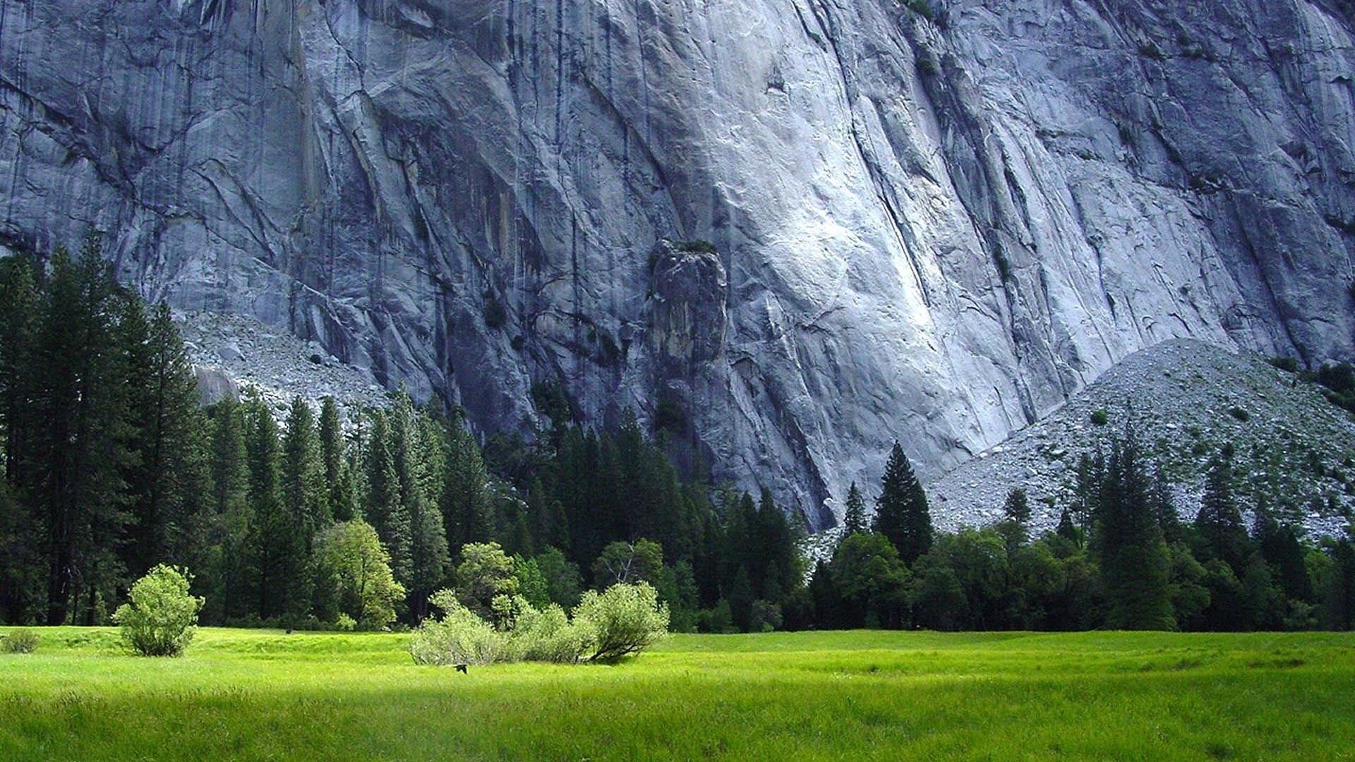 风景