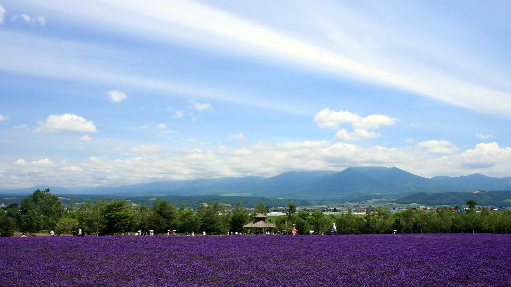 风景