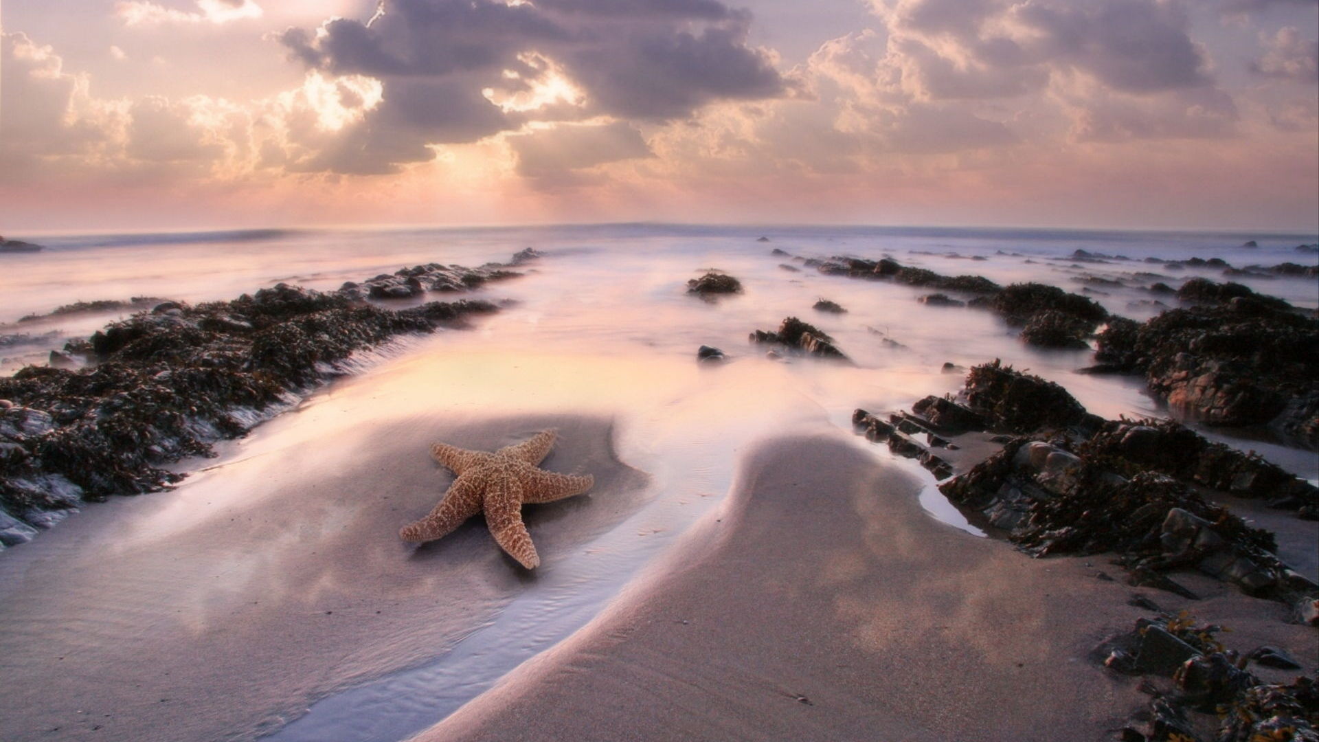 风景