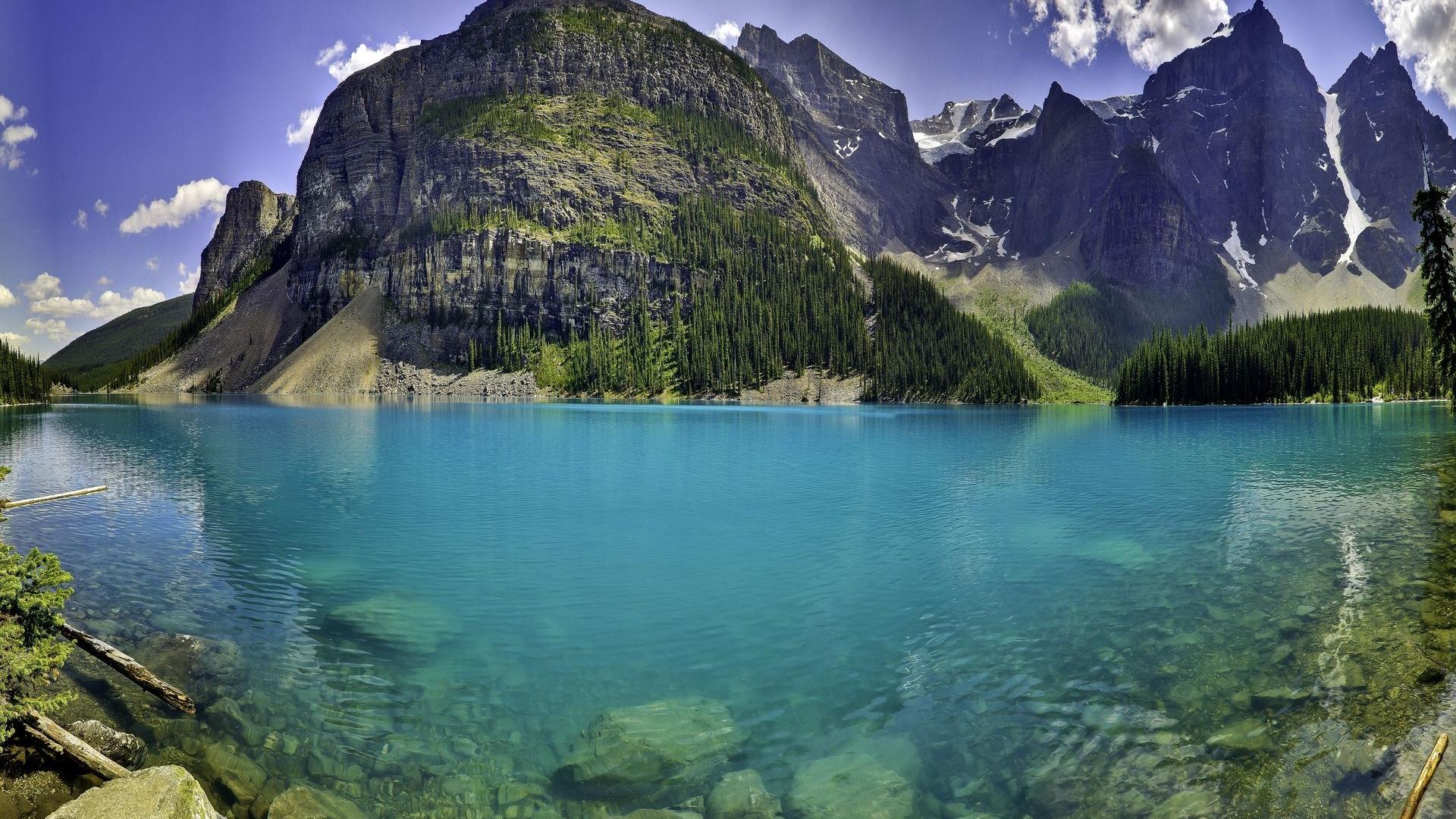 风景