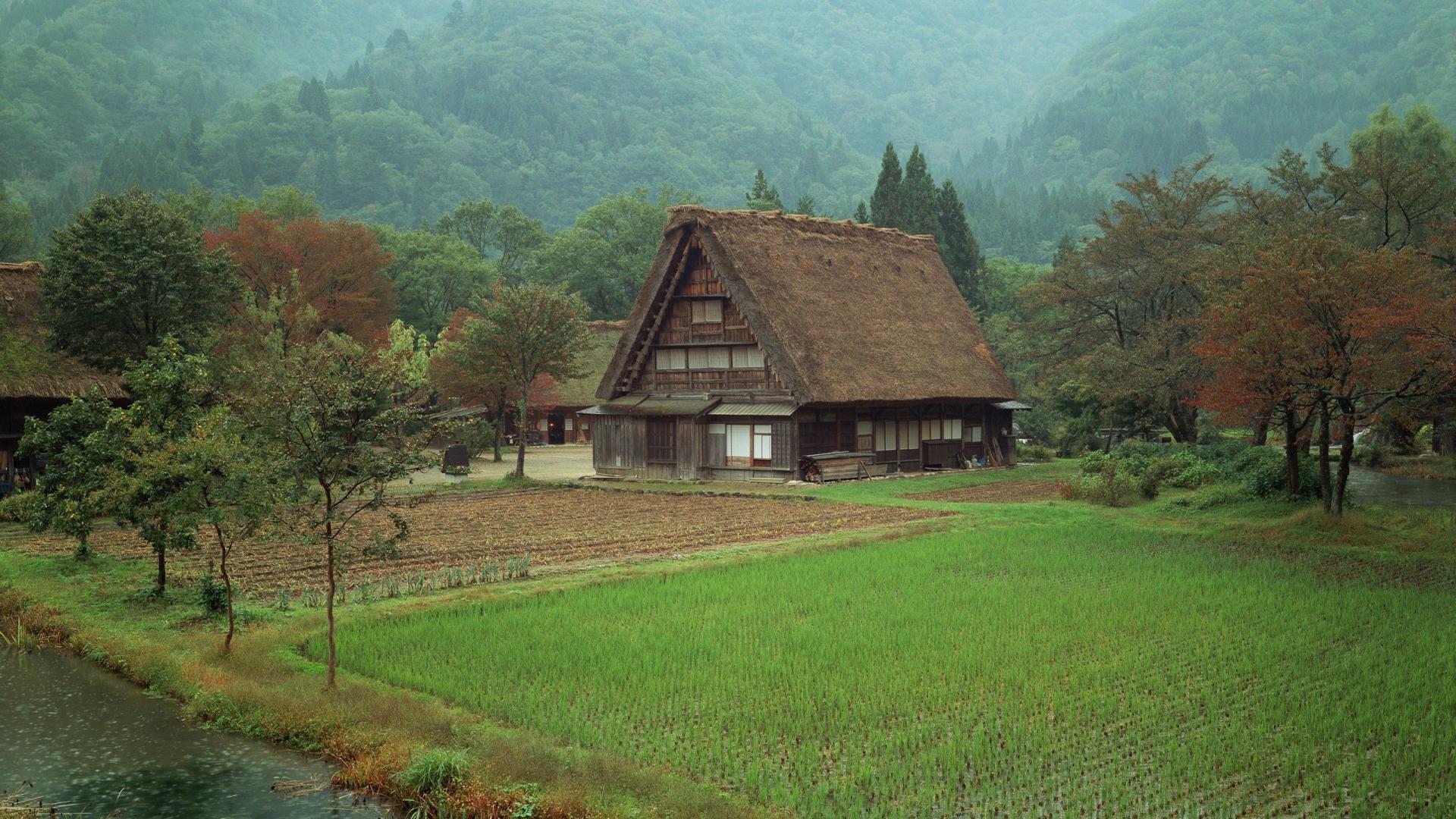 风景