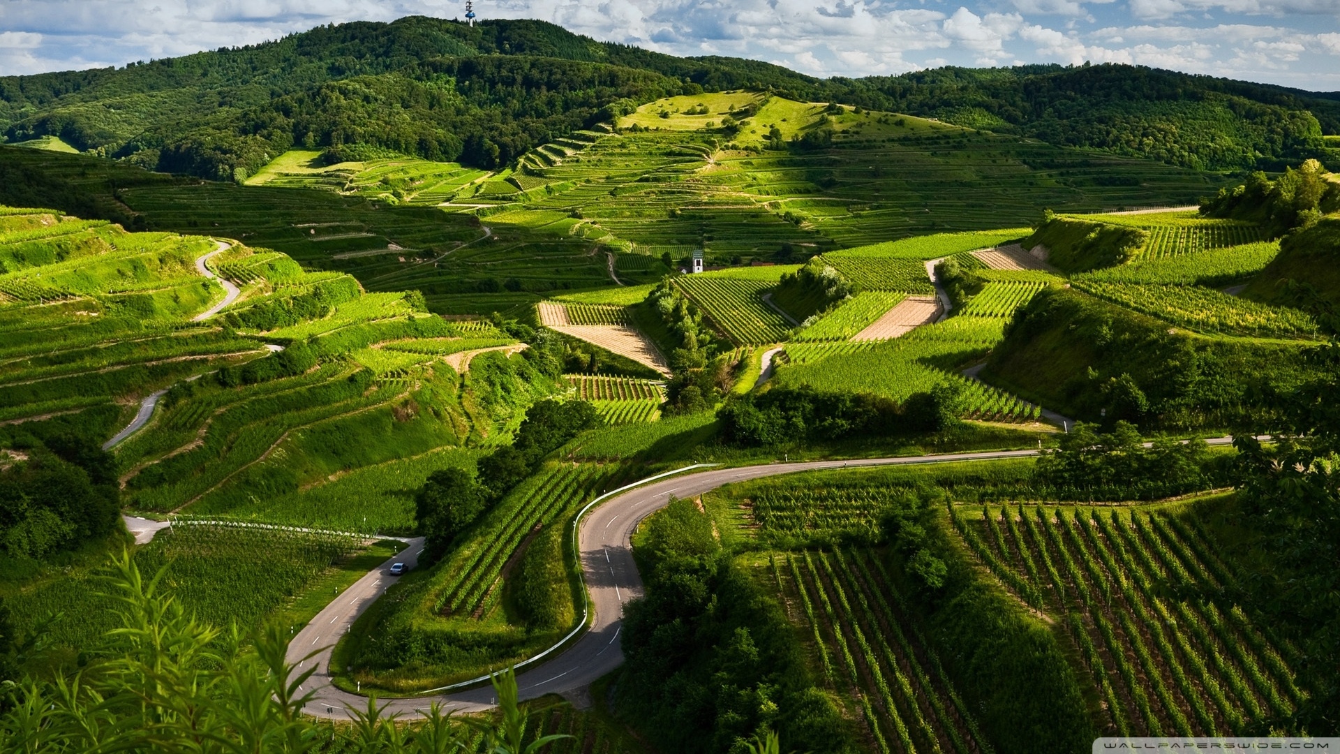 风景