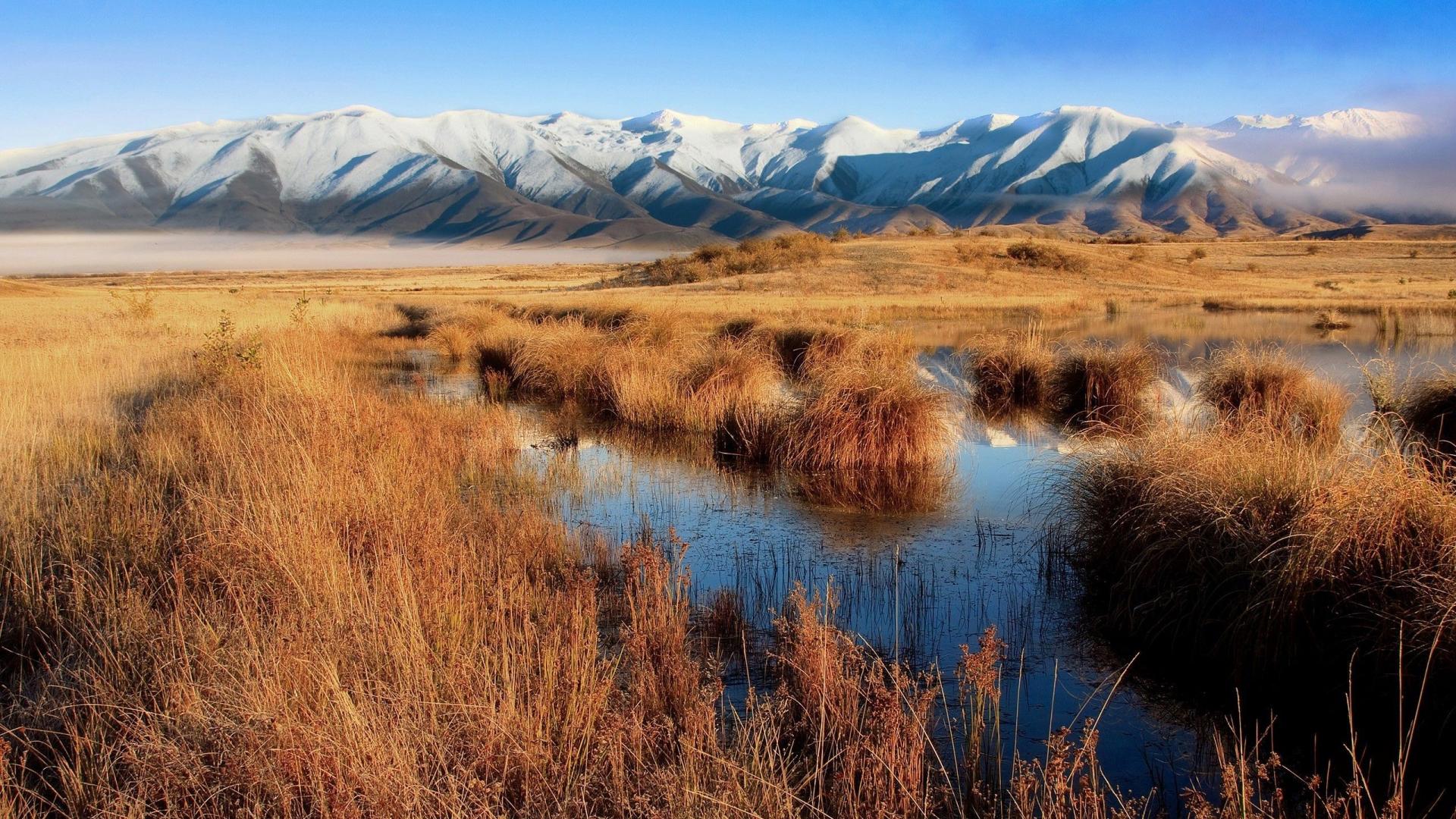 风景