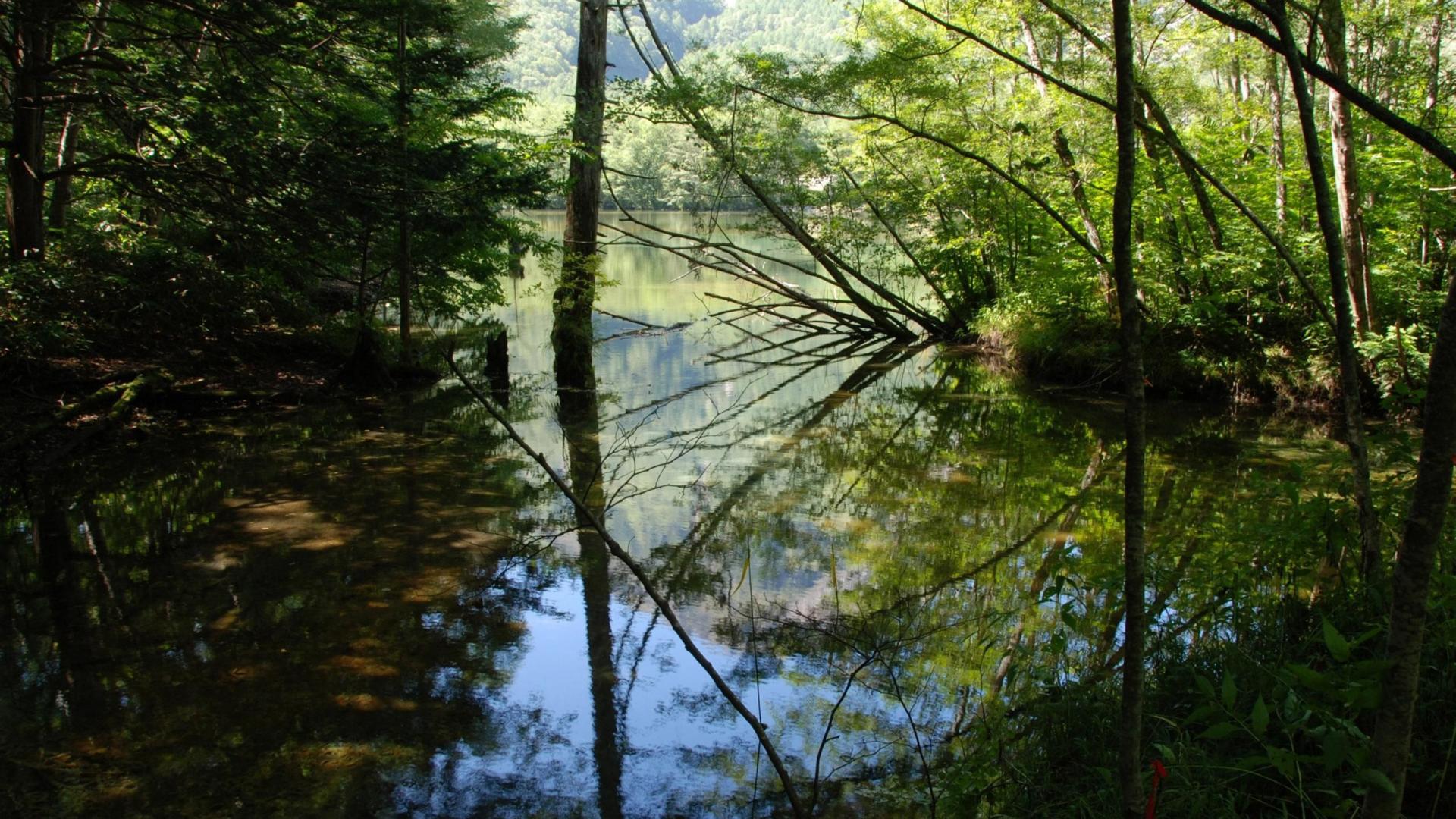 风景