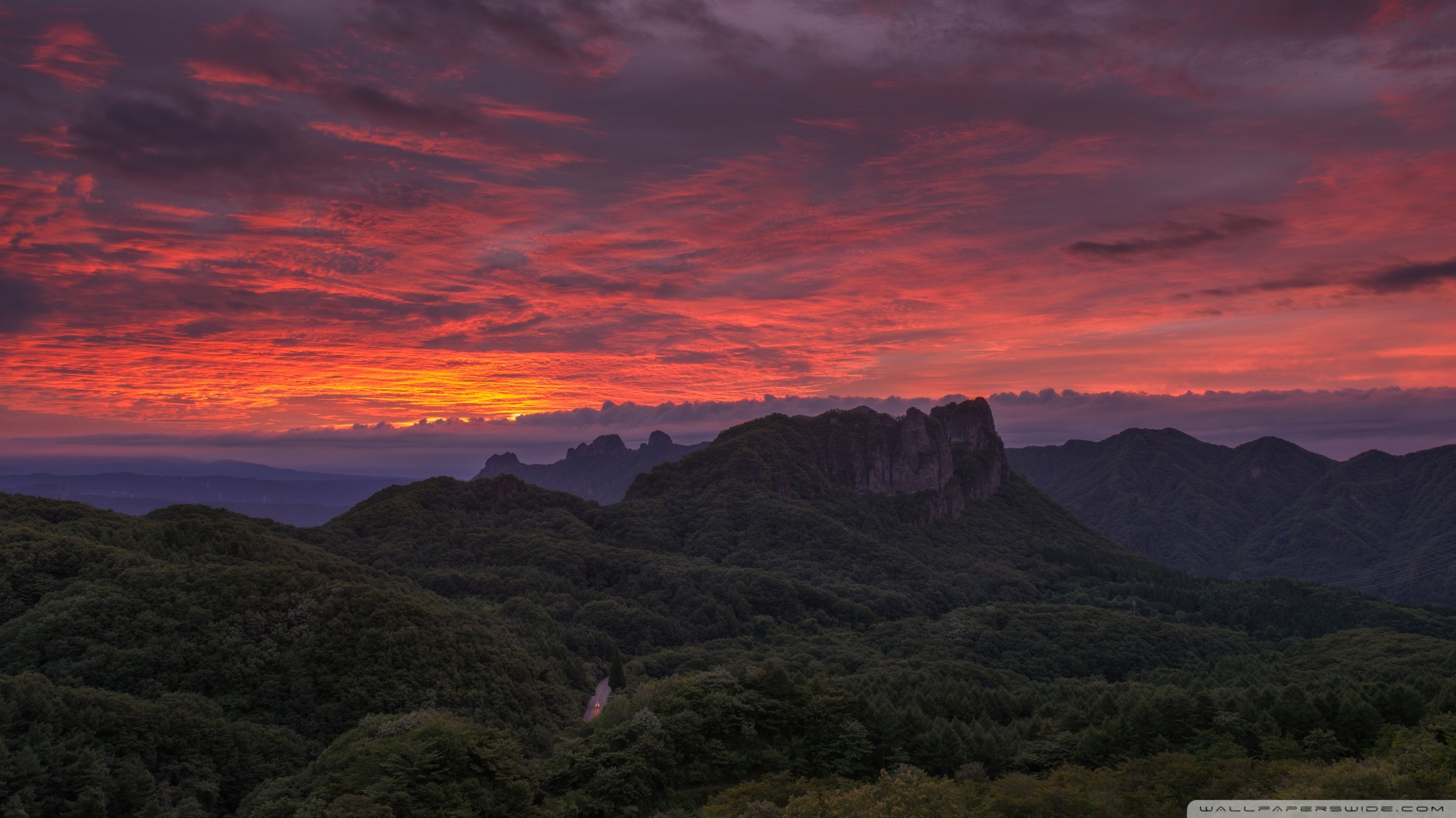 风景