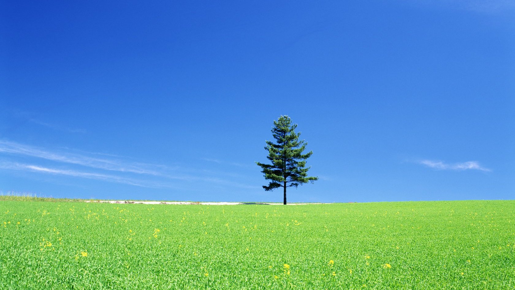 风景