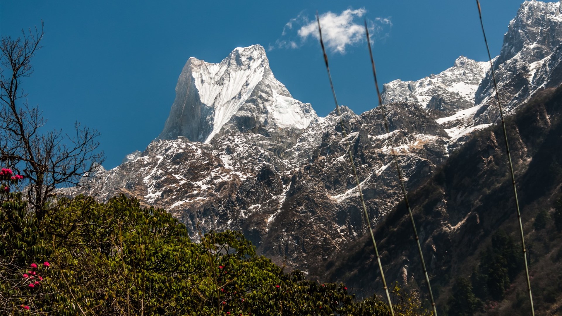 风景